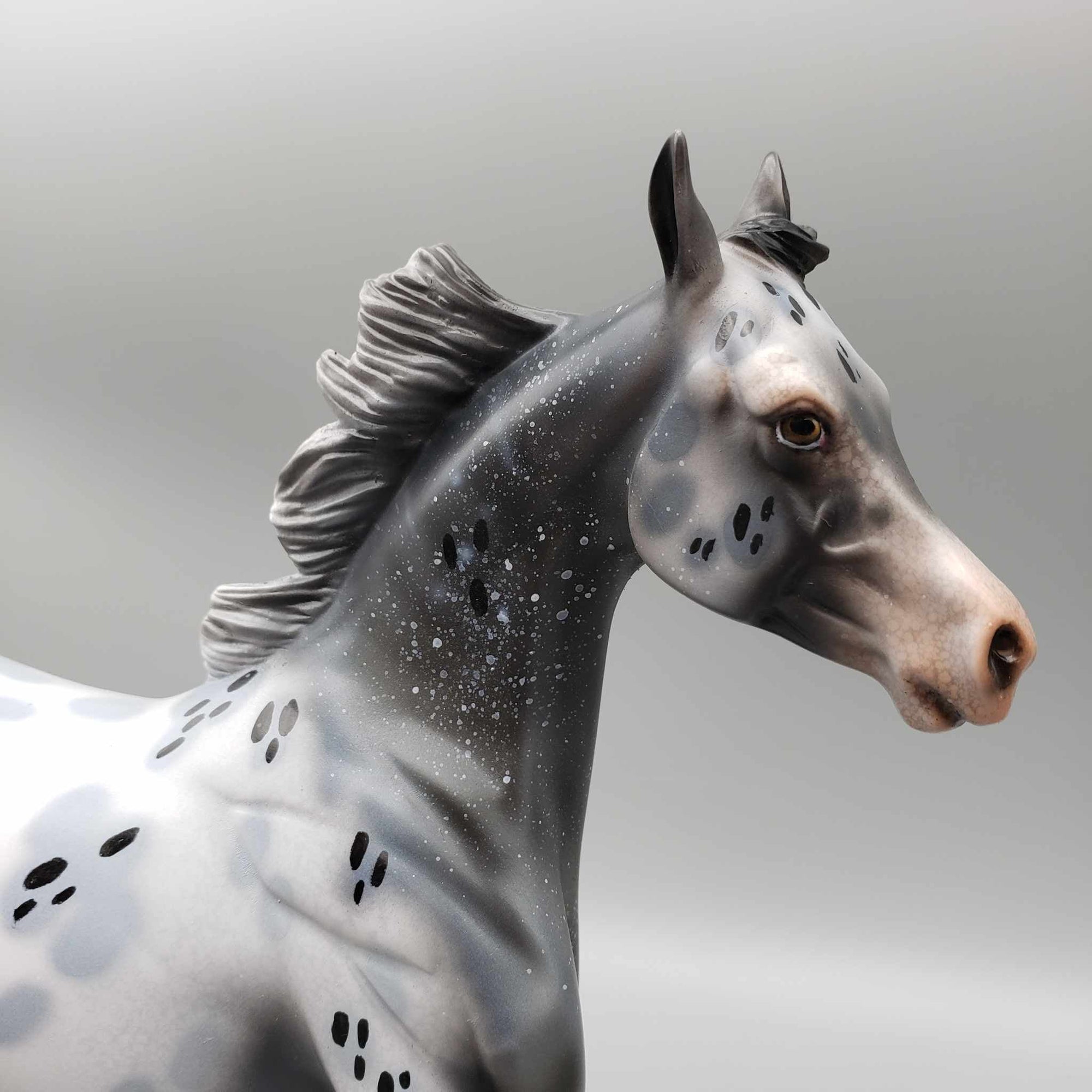 Countdown Confetti OOAK Appaloosa Yearling By Dawn Quick New Year Sales Collection NY23