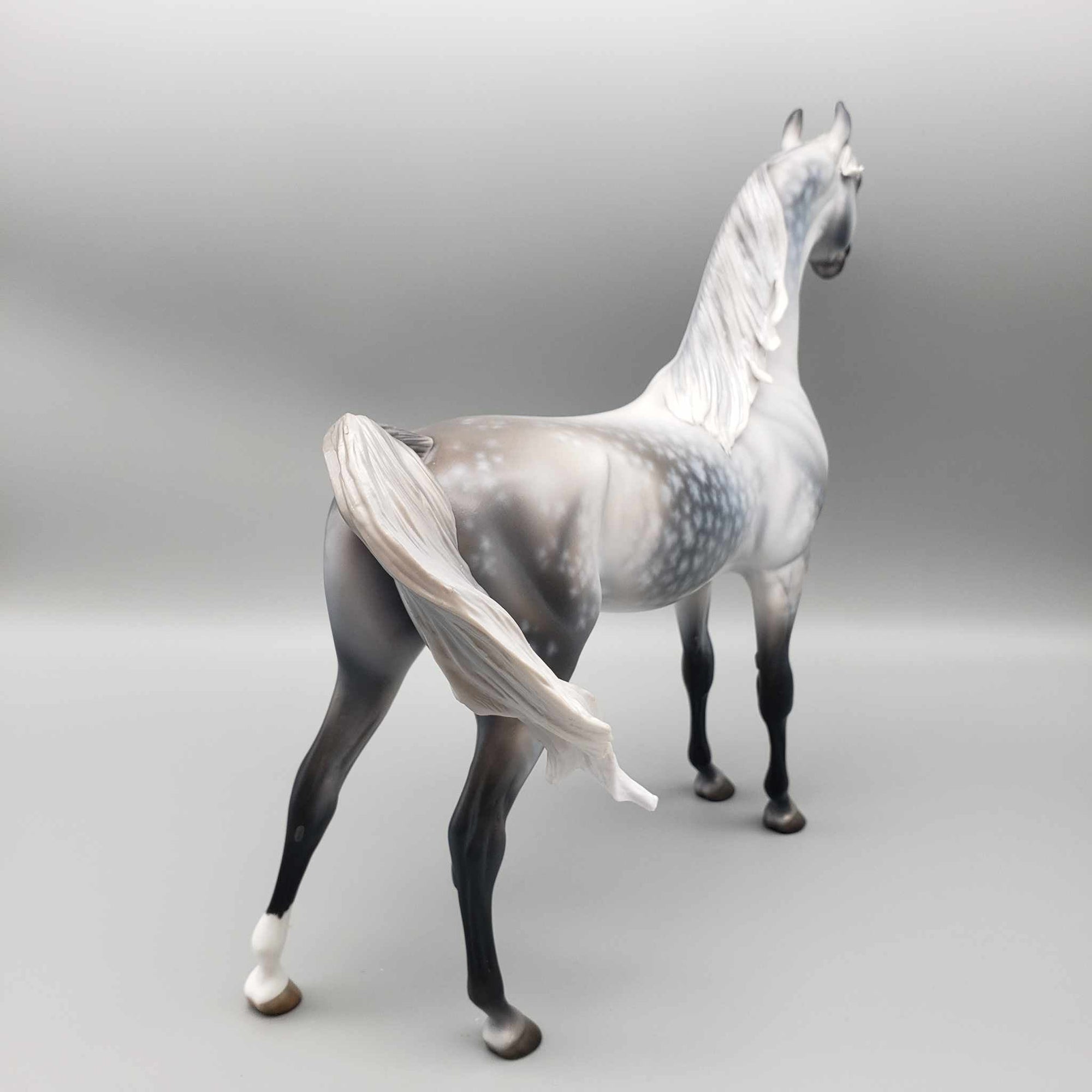 Weatherman OOAK Star Dappled Grey Arabian By Jess Hamill Best Offers 12/26/23