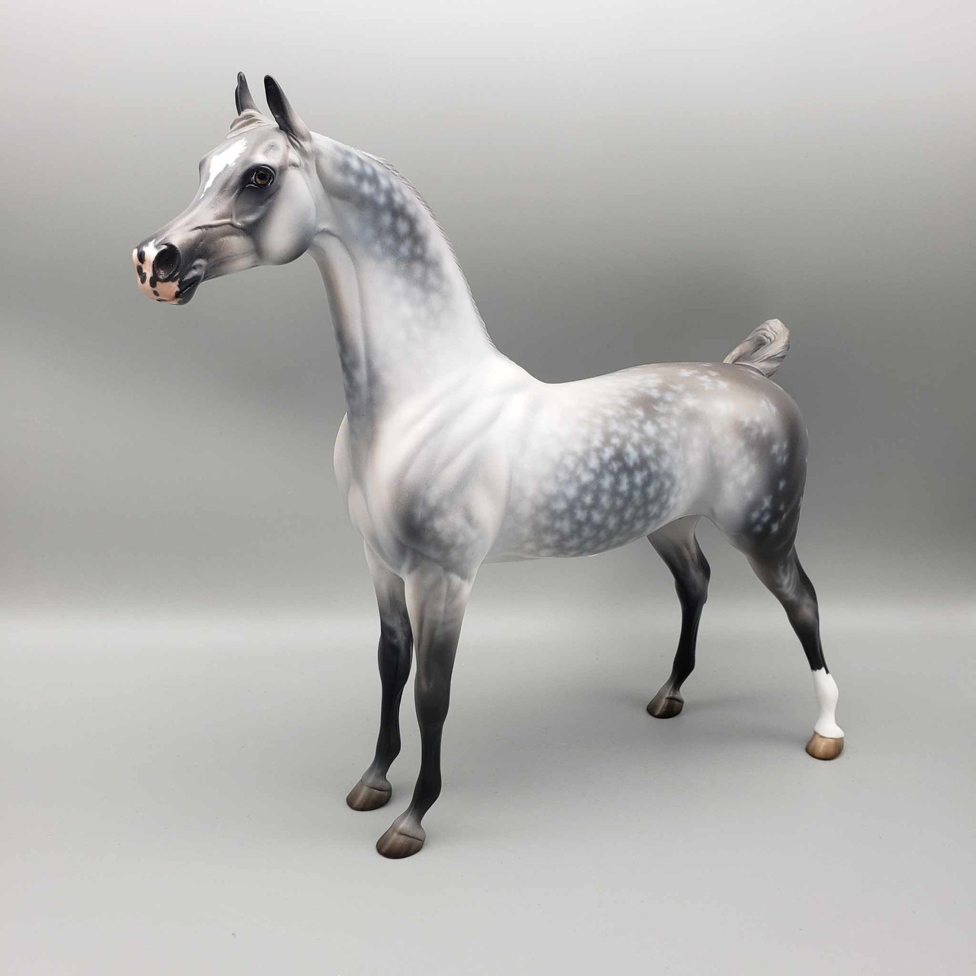 Weatherman OOAK Star Dappled Grey Arabian By Jess Hamill Best Offers 12/26/23