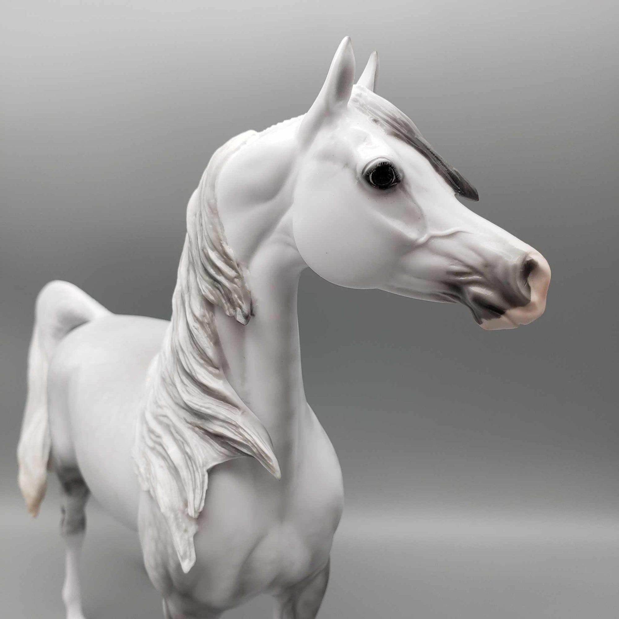 Stormy OOAK Dappled Grey Arabian By Ellen Robbins Employee Appreciation Model