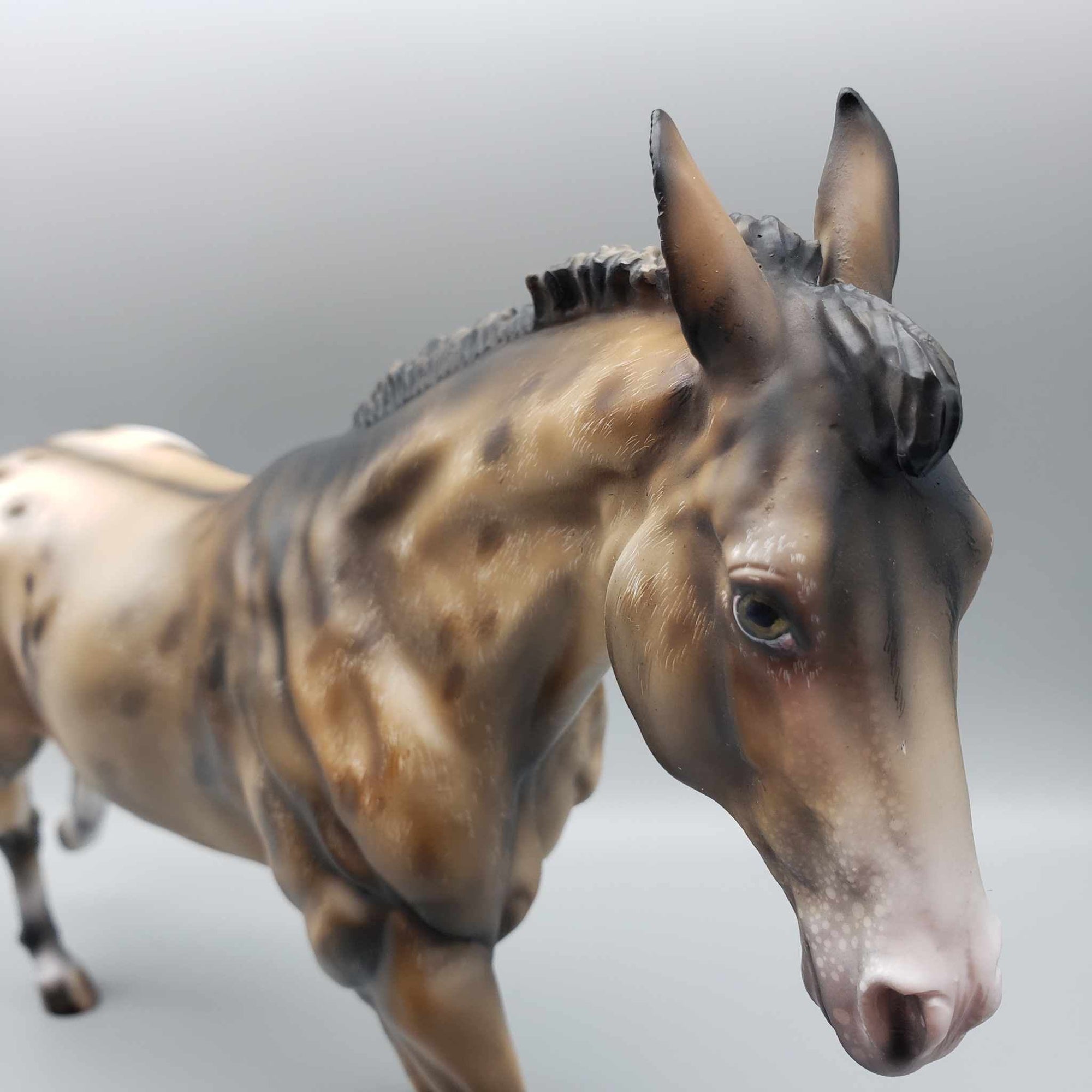 Mulio OOAK Appaloosa Custom Remington by Julie Keim Employee Appreciation Model