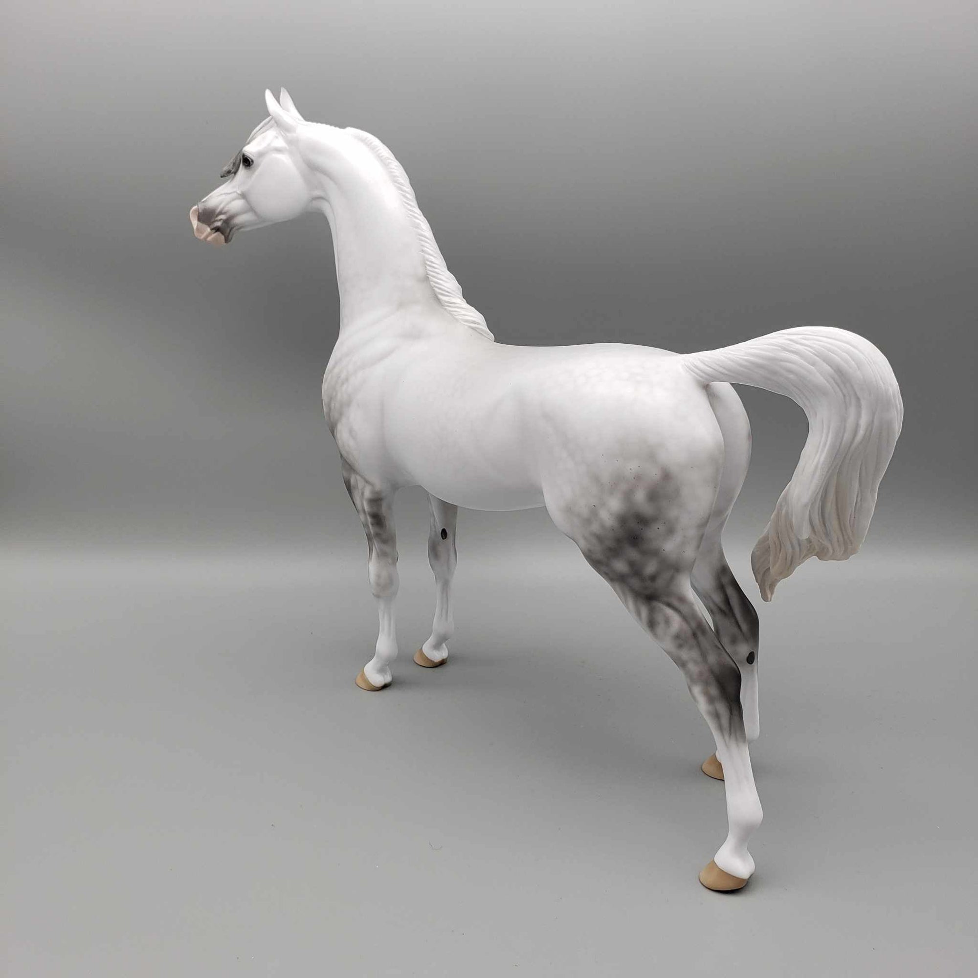 Stormy OOAK Dappled Grey Arabian By Ellen Robbins Employee Appreciation Model