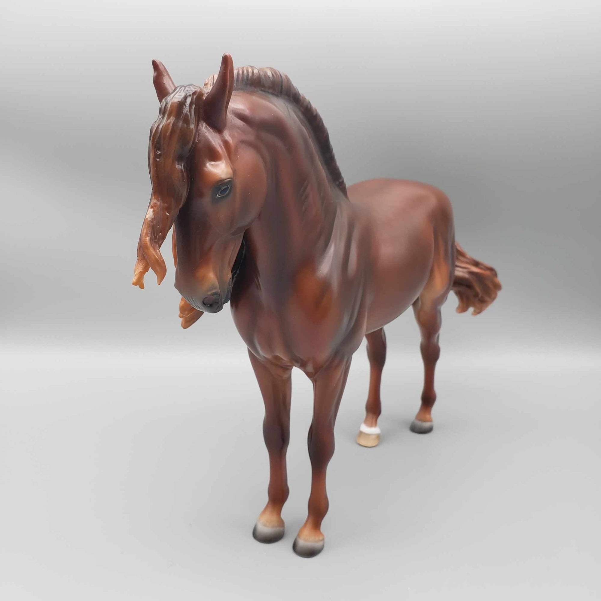 Calido OOAK Lightly Dappled Chestnut Andalusian By Ashley Palmer Employee Appreciation Model