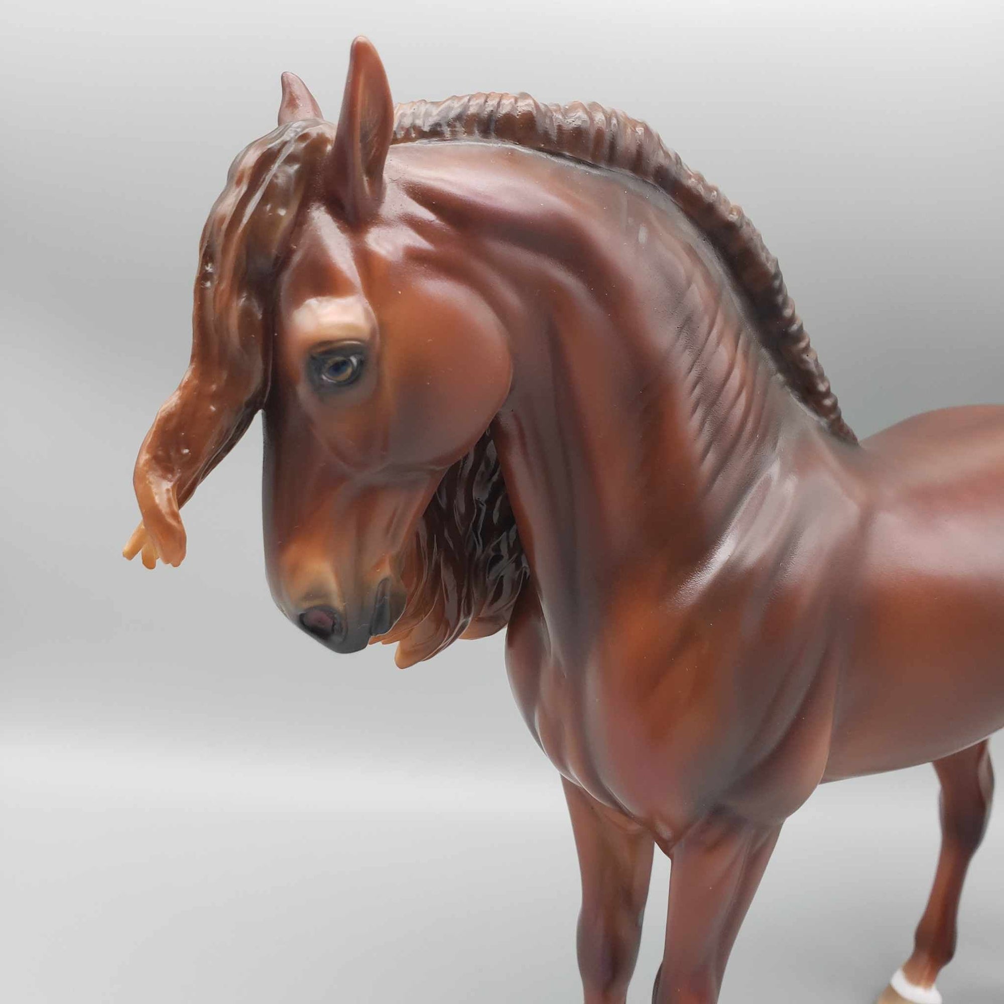 Calido OOAK Lightly Dappled Chestnut Andalusian By Ashley Palmer Employee Appreciation Model