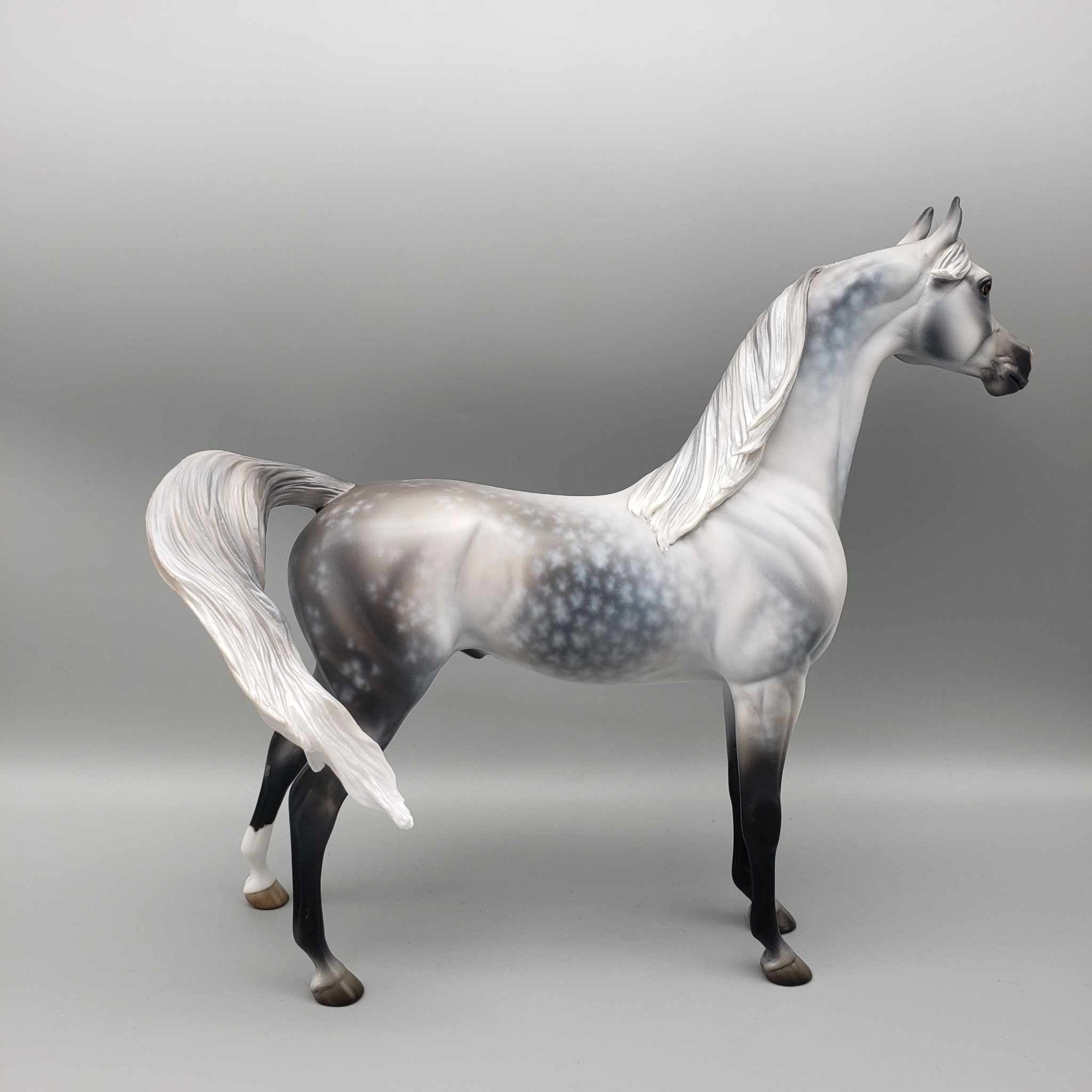 Weatherman OOAK Star Dappled Grey Arabian By Jess Hamill Best Offers 12/26/23
