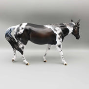 Party Noisemaker OOAK Custom Bay Tobiano with Cat Tracks Mule By Dawn Quick New Year Sales Collection NY23 Facebook Auction