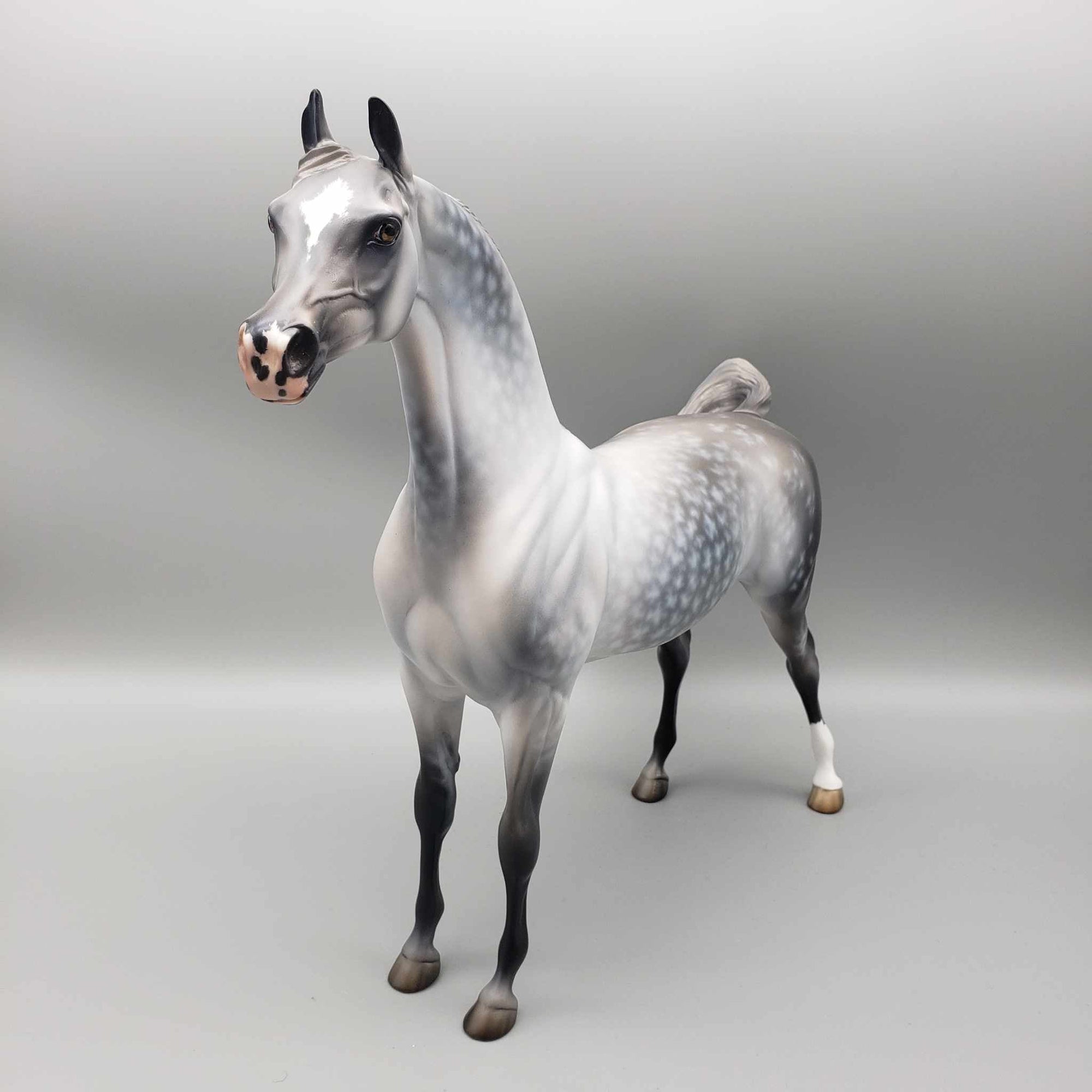 Weatherman OOAK Star Dappled Grey Arabian By Jess Hamill Best Offers 12/26/23