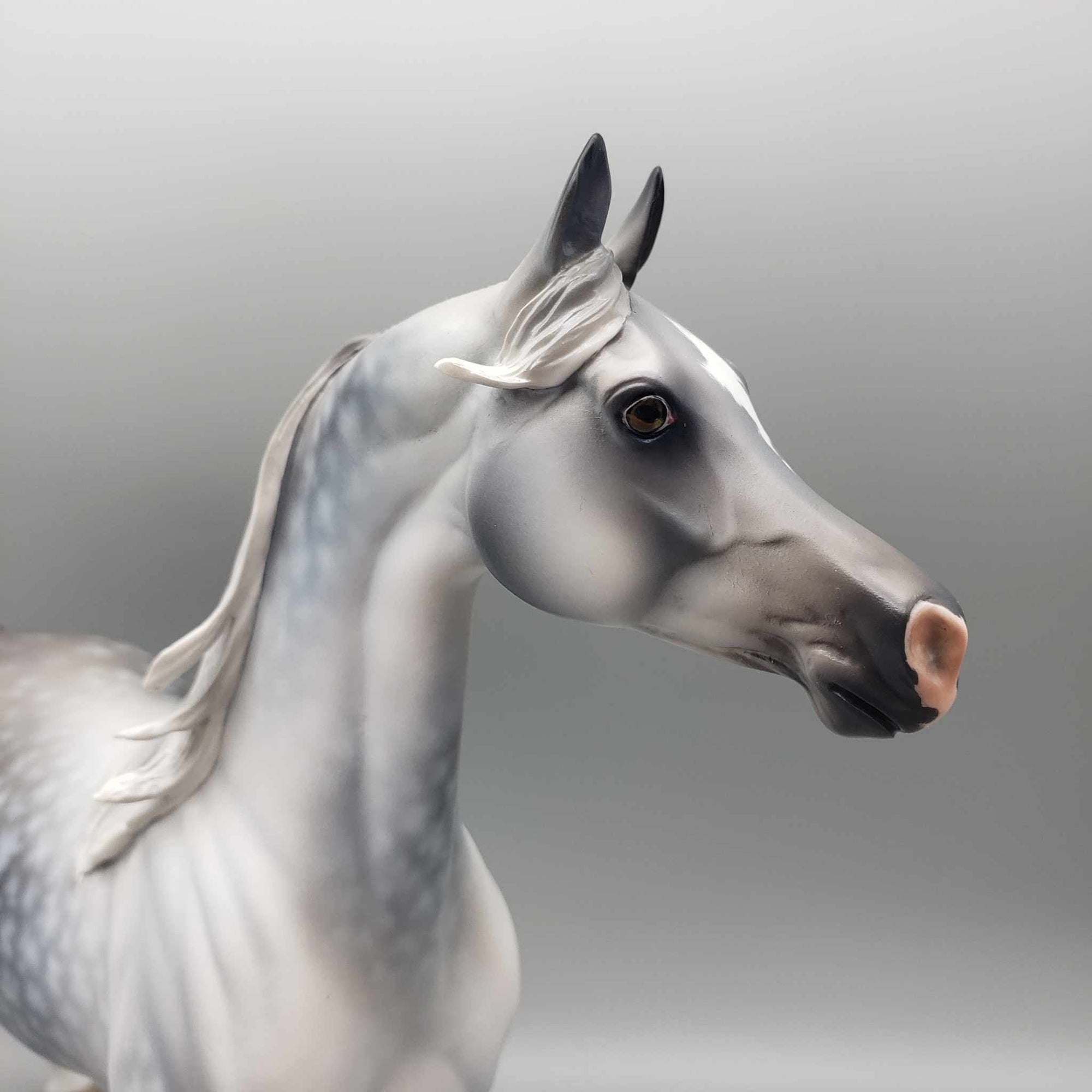 Weatherman OOAK Star Dappled Grey Arabian By Jess Hamill Best Offers 12/26/23