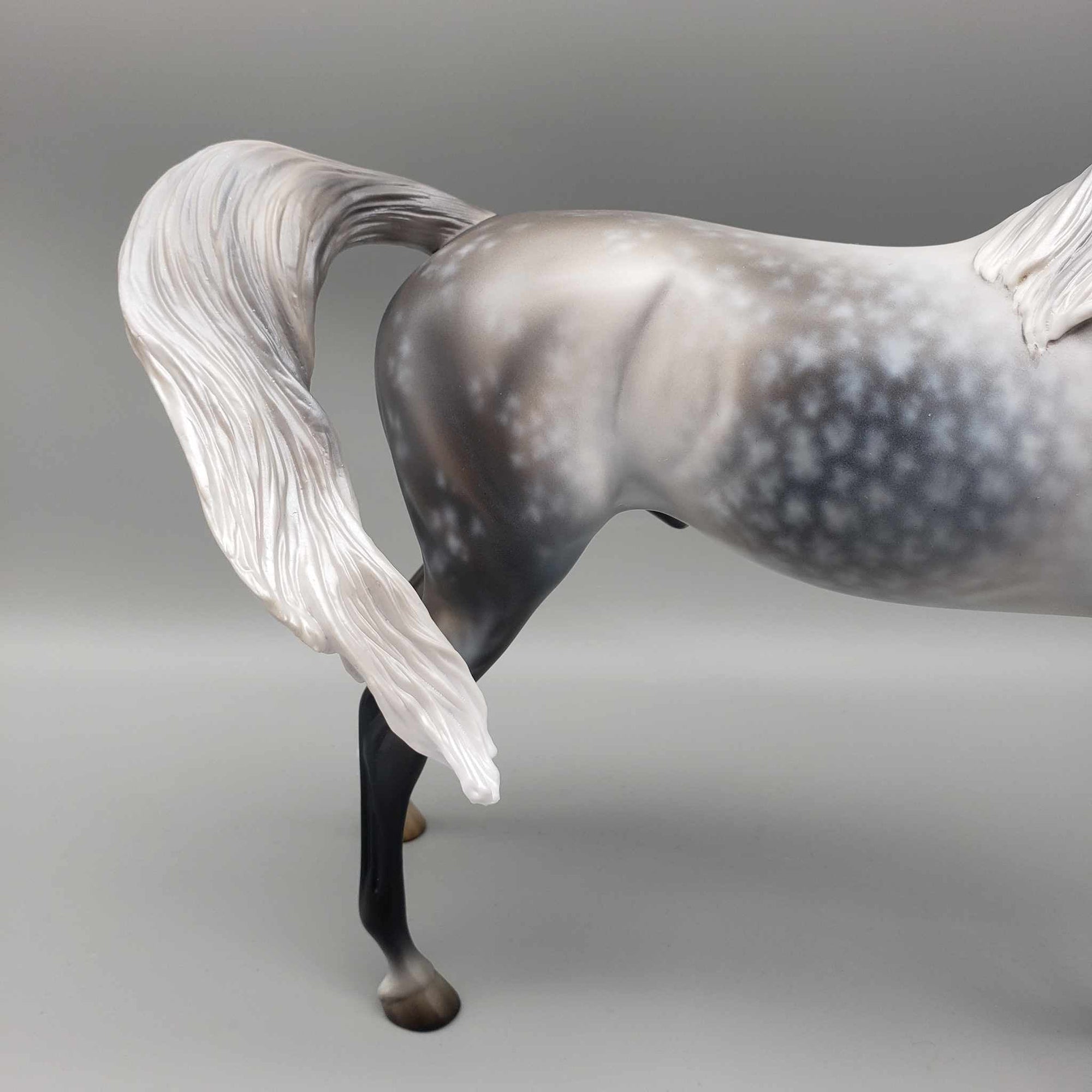 Weatherman OOAK Star Dappled Grey Arabian By Jess Hamill Best Offers 12/26/23