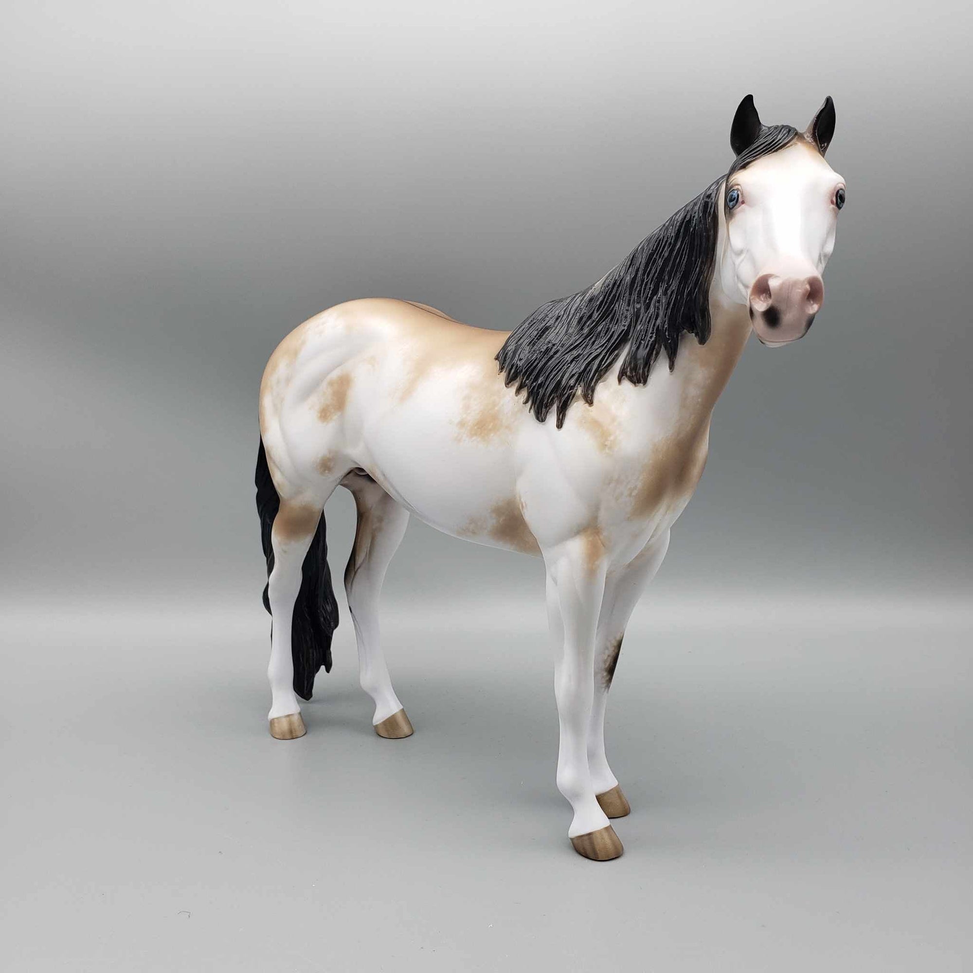 Jingle Berry OOAK Buckskin Sabino ISH By Sheryl Leisure Best Offers 12/26/23