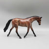 Stroke Of Midnight OOAK Bay Brindle Warmblood Pebble By Jess Hamill New Year Sales Collection NY23