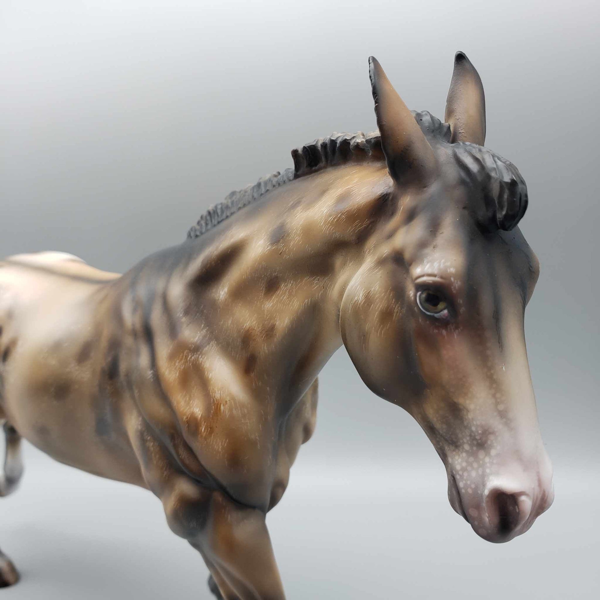 Mulio OOAK Appaloosa Custom Remington by Julie Keim Employee Appreciation Model