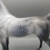Weatherman OOAK Star Dappled Grey Arabian By Jess Hamill Best Offers 12/26/23