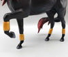 Affinity OOAK Black and Red Winged Andalusian By Carrie Keller Best Offers 12/26/23