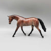 Stroke Of Midnight OOAK Bay Brindle Warmblood Pebble By Jess Hamill New Year Sales Collection NY23