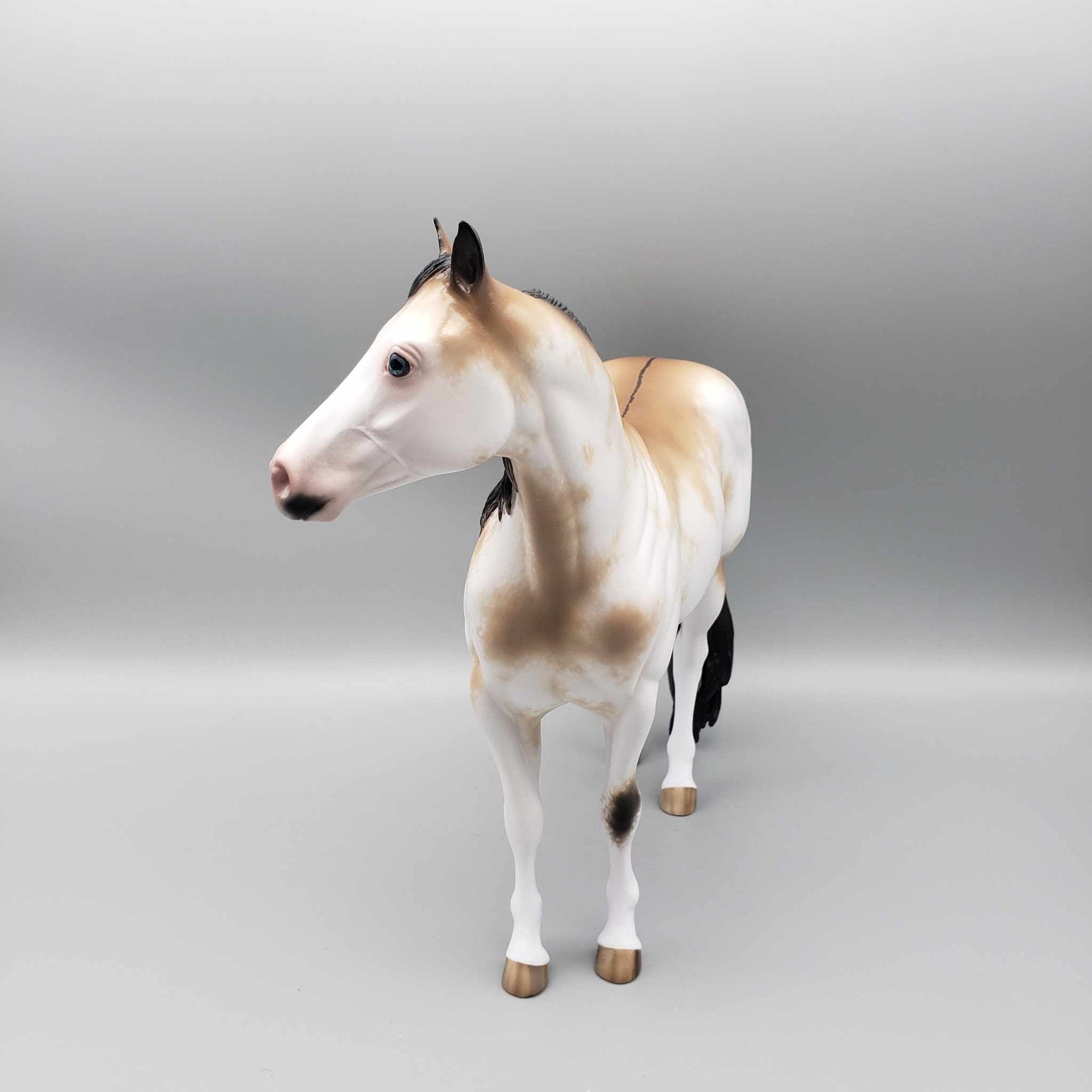 Jingle Berry OOAK Buckskin Sabino ISH By Sheryl Leisure Best Offers 12/26/23