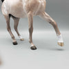 Alisande OOAK Dappled Rose Grey Arabian Mare By Sheryl Leisure Best Offers 12/26/23