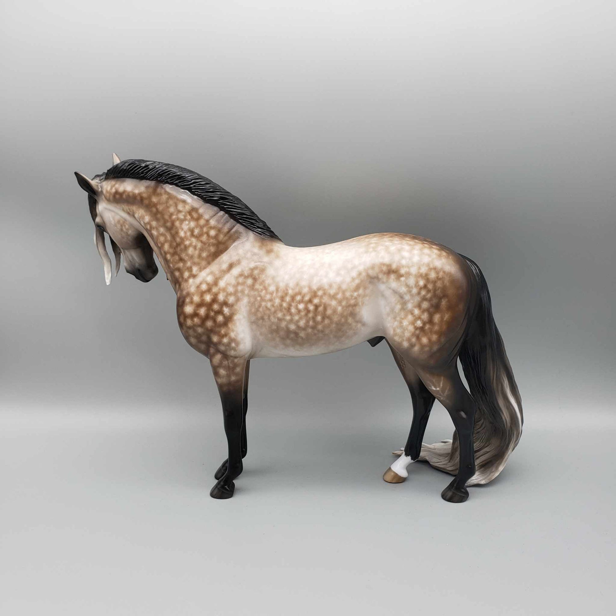 Passion OOAK Star Dappled Bay Going Grey Andalusian By Sheryl Leisure Best Offer 1/2/24