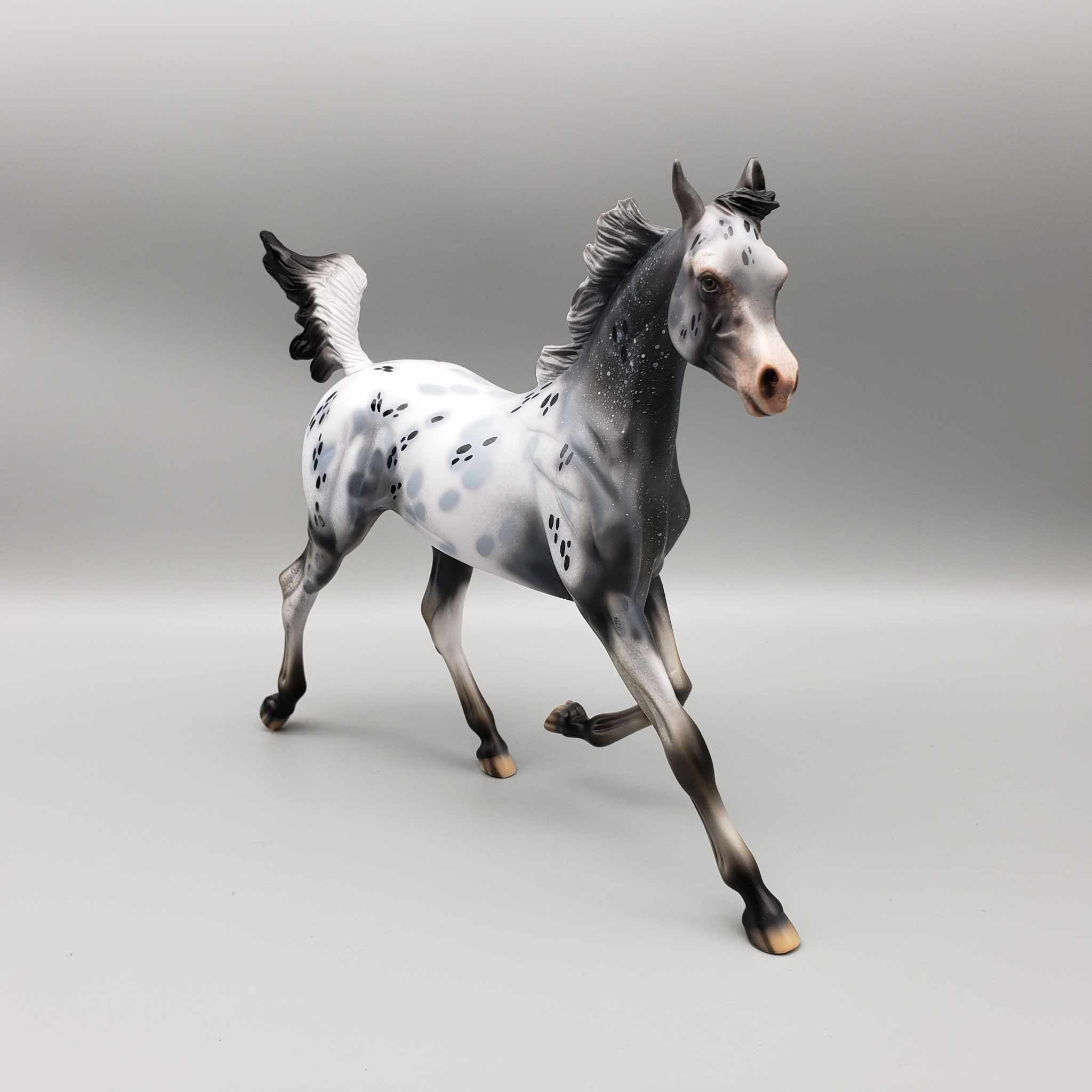 Countdown Confetti OOAK Appaloosa Yearling By Dawn Quick New Year Sales Collection NY23