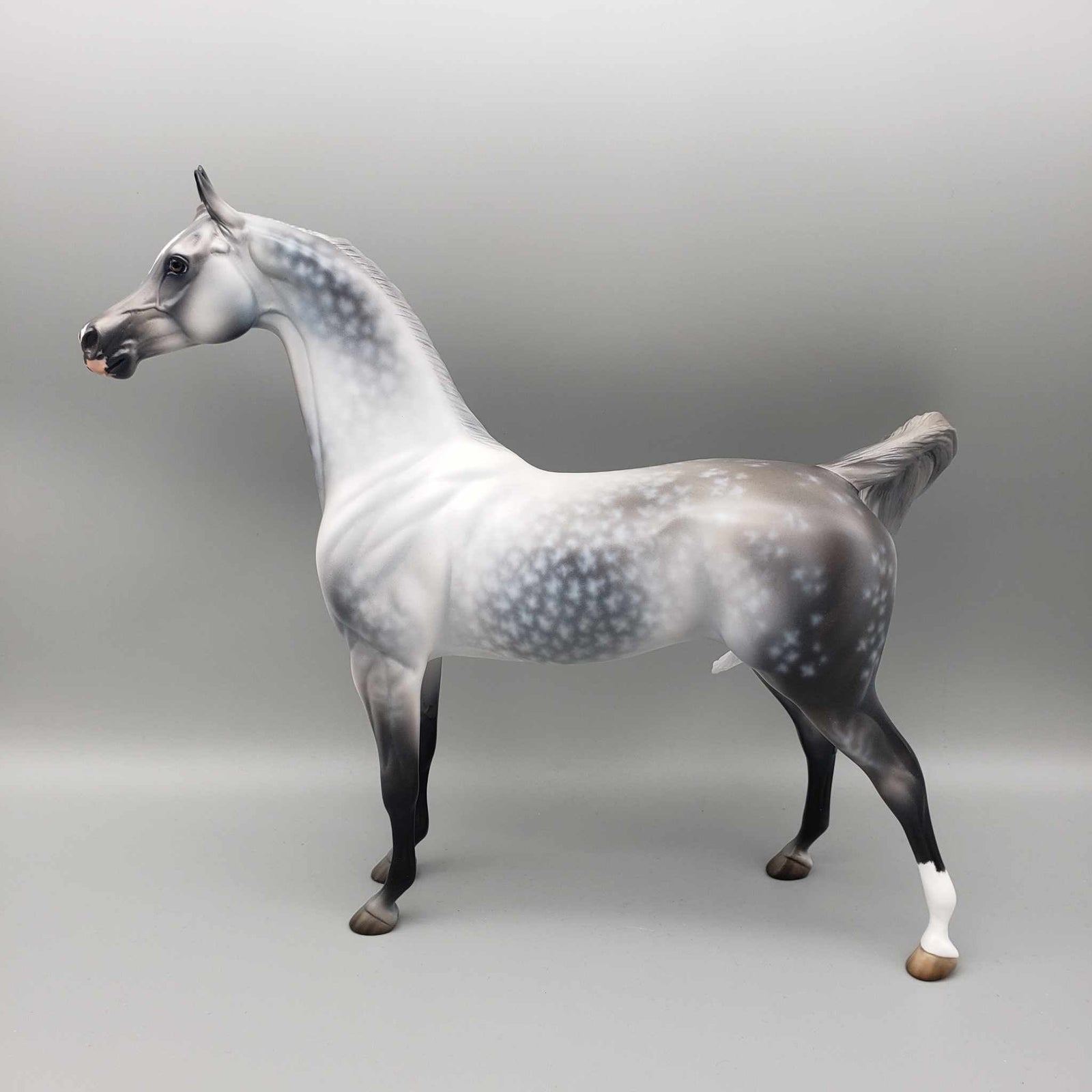 Weatherman OOAK Star Dappled Grey Arabian By Jess Hamill Best Offers 12/26/23