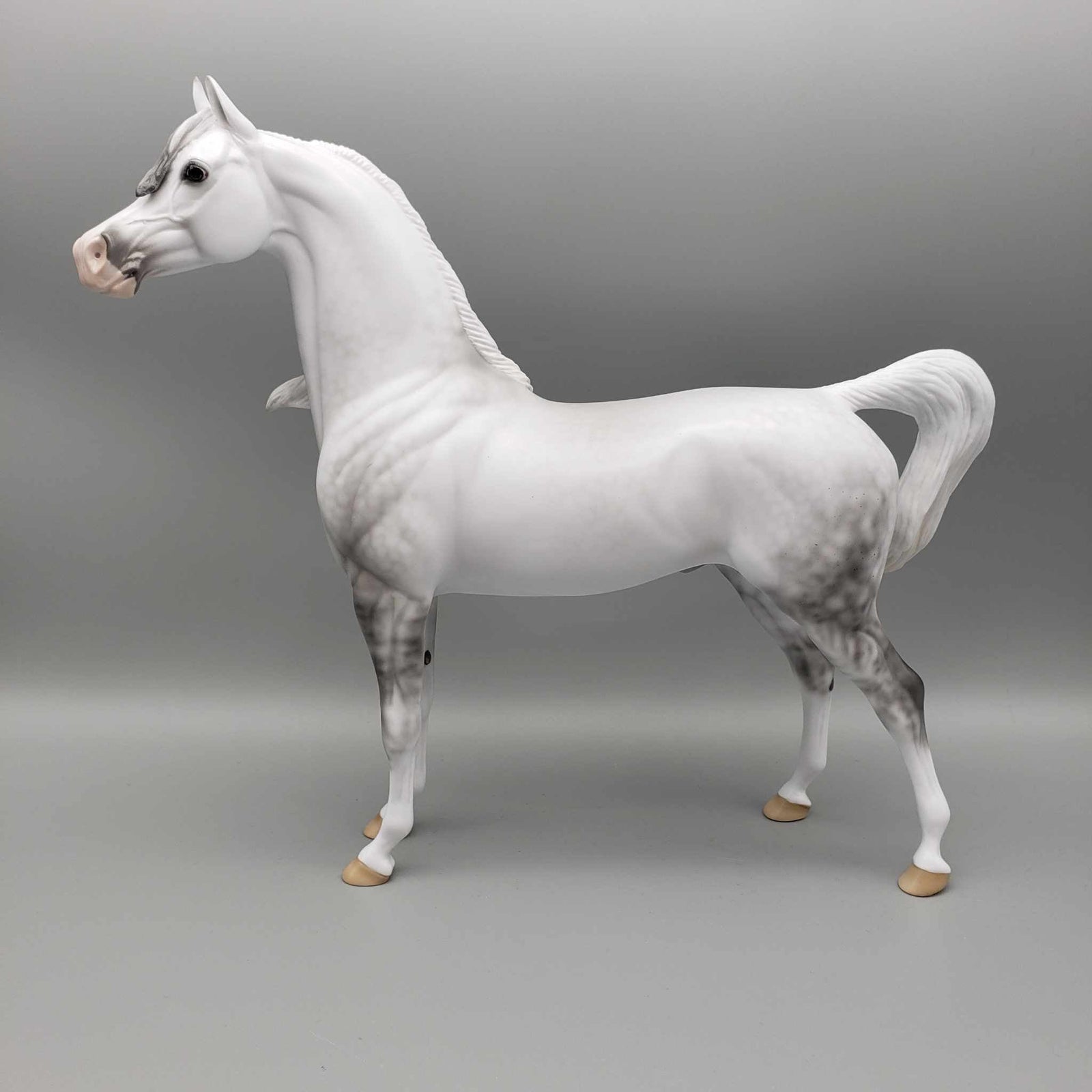 Stormy OOAK Dappled Grey Arabian By Ellen Robbins Employee Appreciation Model