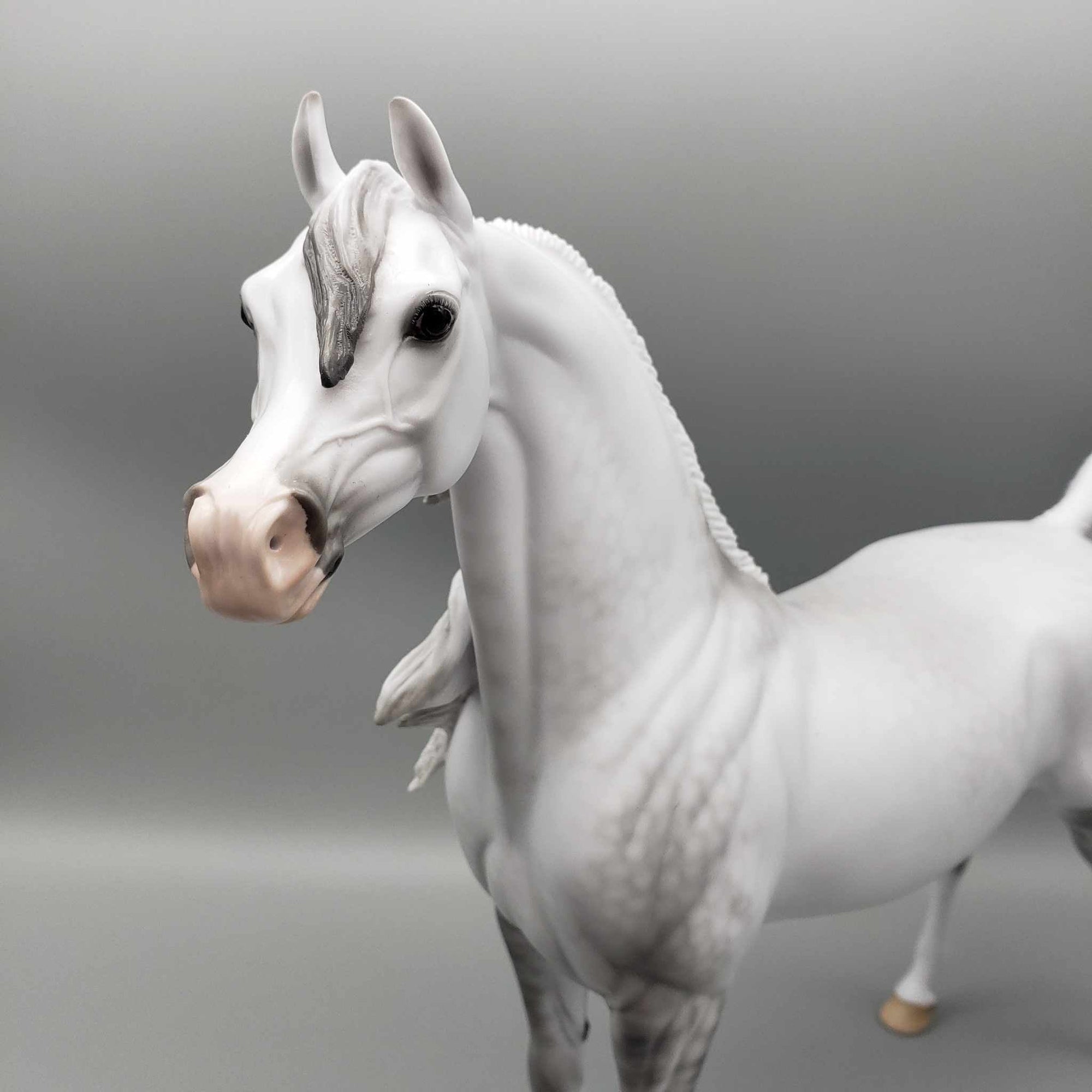 Stormy OOAK Dappled Grey Arabian By Ellen Robbins Employee Appreciation Model