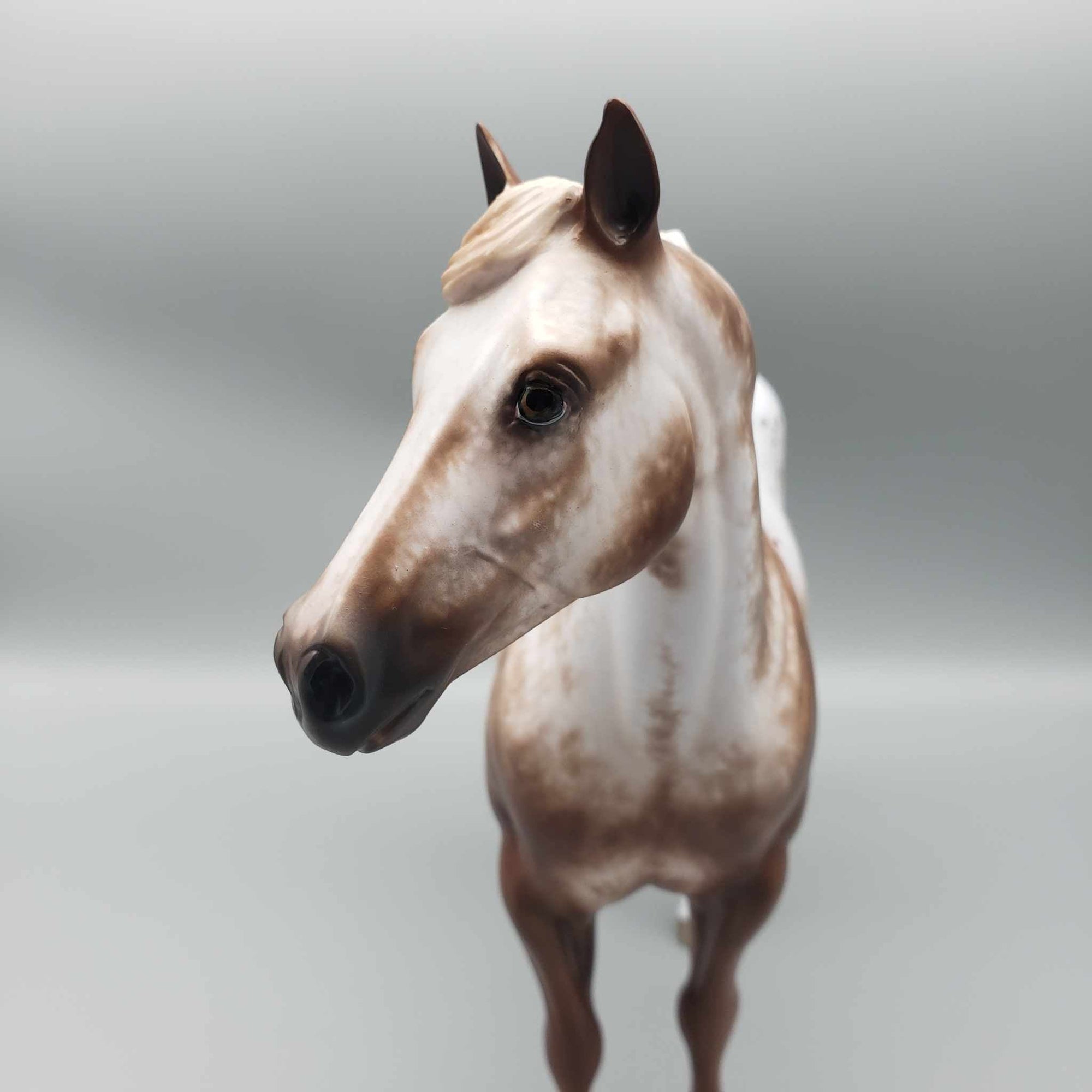 Nifty OOAK Appaloosa ISH By Sheryl Leisure Best Offer 1/7/24