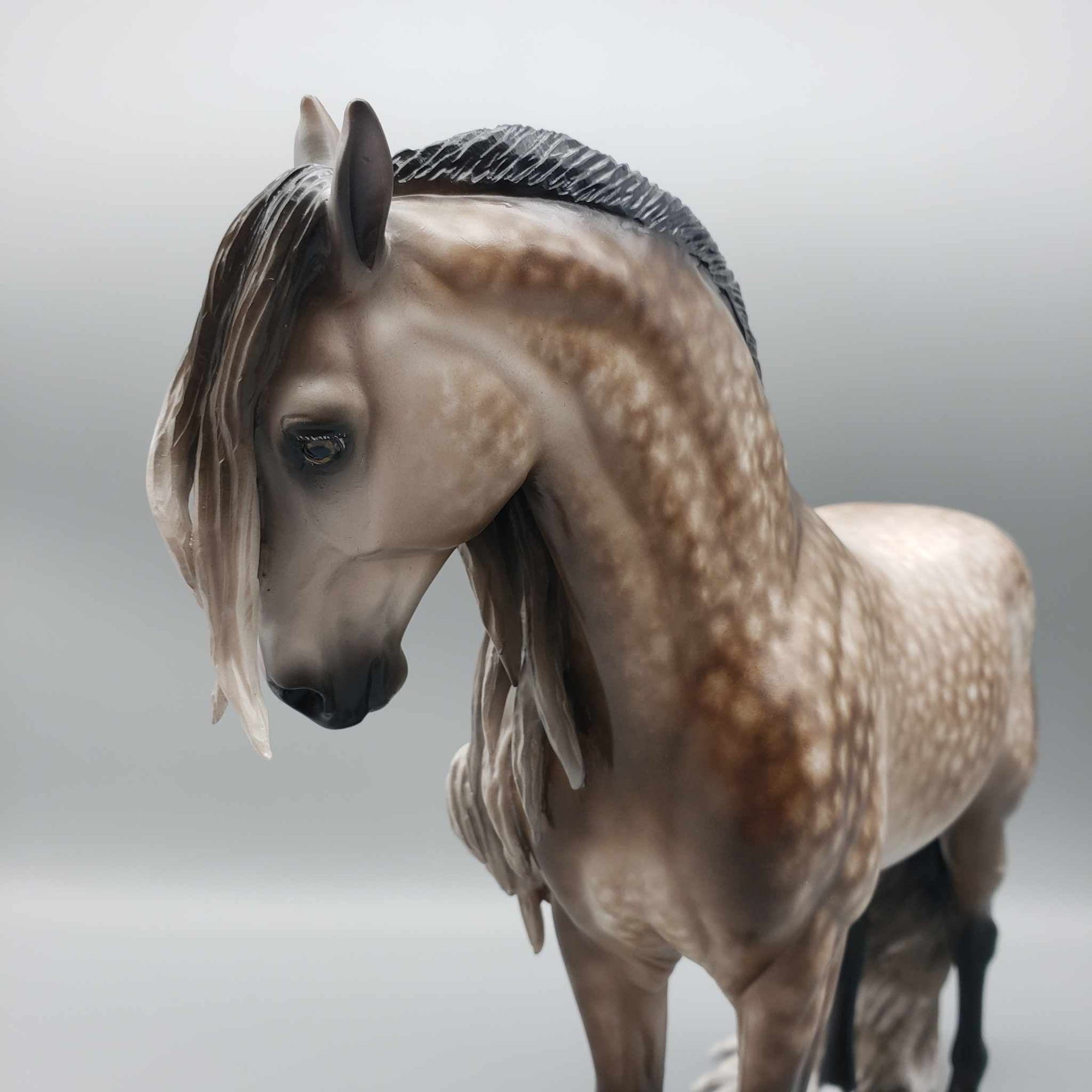 Passion OOAK Star Dappled Bay Going Grey Andalusian By Sheryl Leisure Best Offer 1/2/24