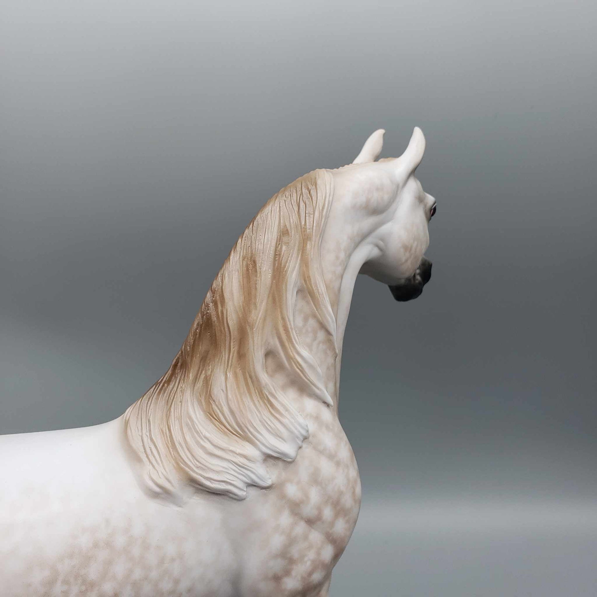 Dreamy OOAK Star Dappled Rose Grey Arabian Stallion By Sheryl Leisure Best Offer 1/2/24