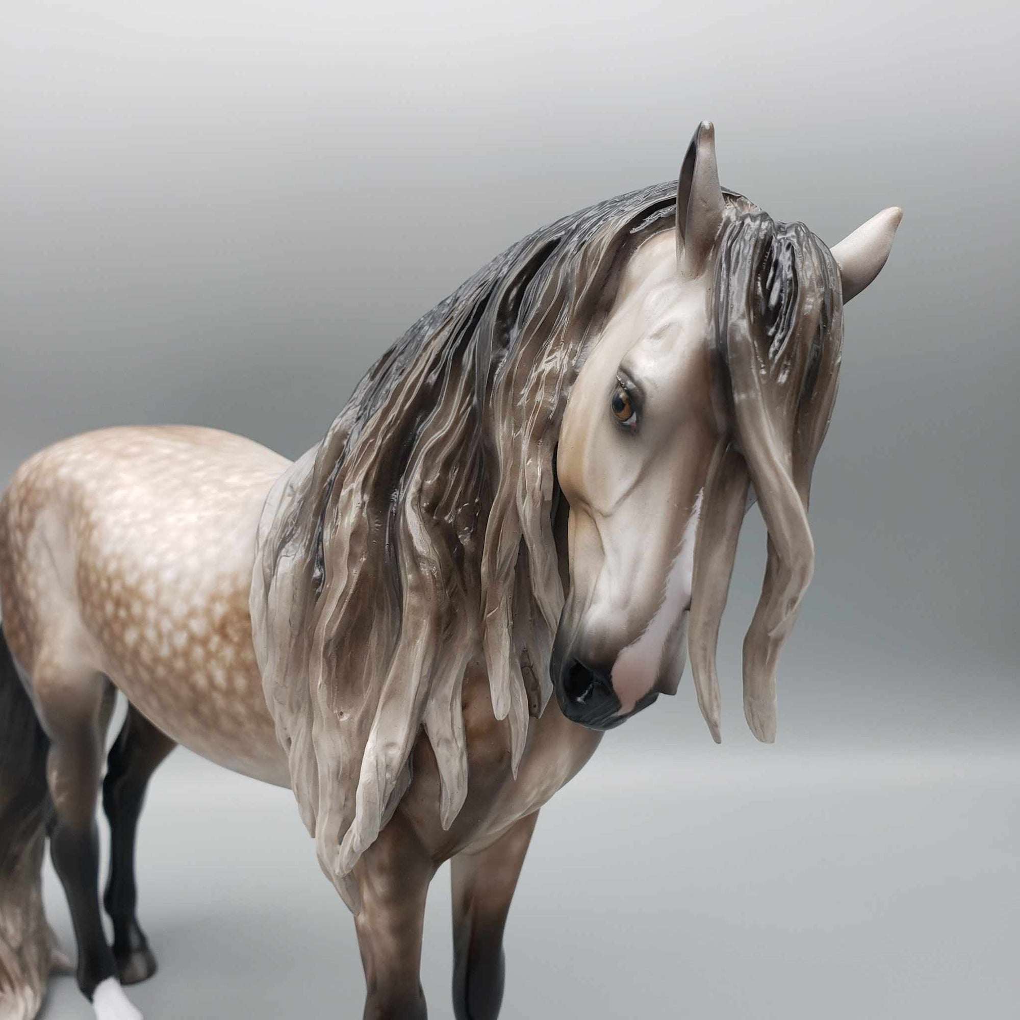 Passion OOAK Star Dappled Bay Going Grey Andalusian By Sheryl Leisure Best Offer 1/2/24