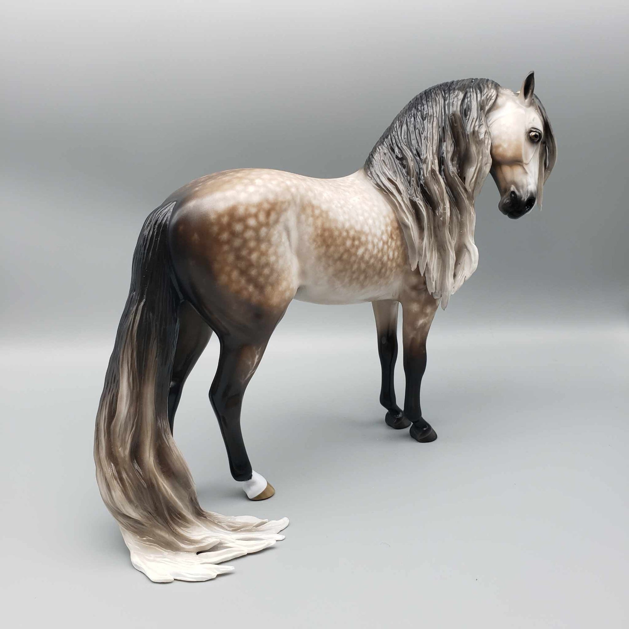 Passion OOAK Star Dappled Bay Going Grey Andalusian By Sheryl Leisure Best Offer 1/2/24