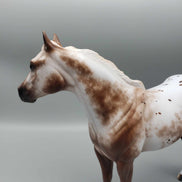 Nifty OOAK Appaloosa ISH By Sheryl Leisure Best Offer 1/7/24