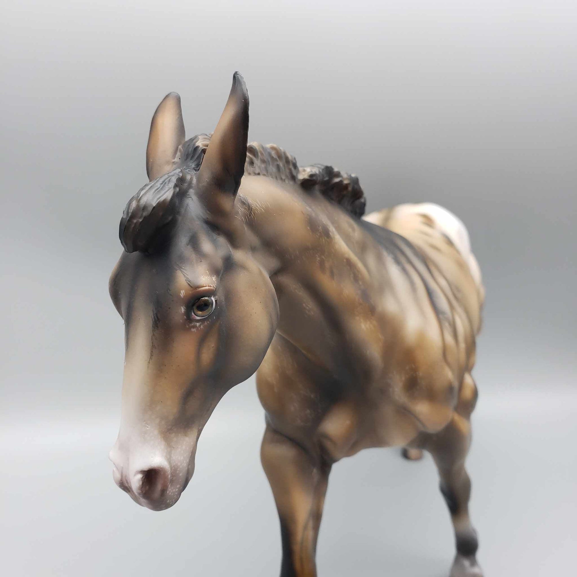 Mulio OOAK Appaloosa Custom Remington by Julie Keim Employee Appreciation Model