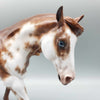 Go For It OOAK Chestnut Sabino Remington By Sheryl Leisure Best Offer 1/2/24