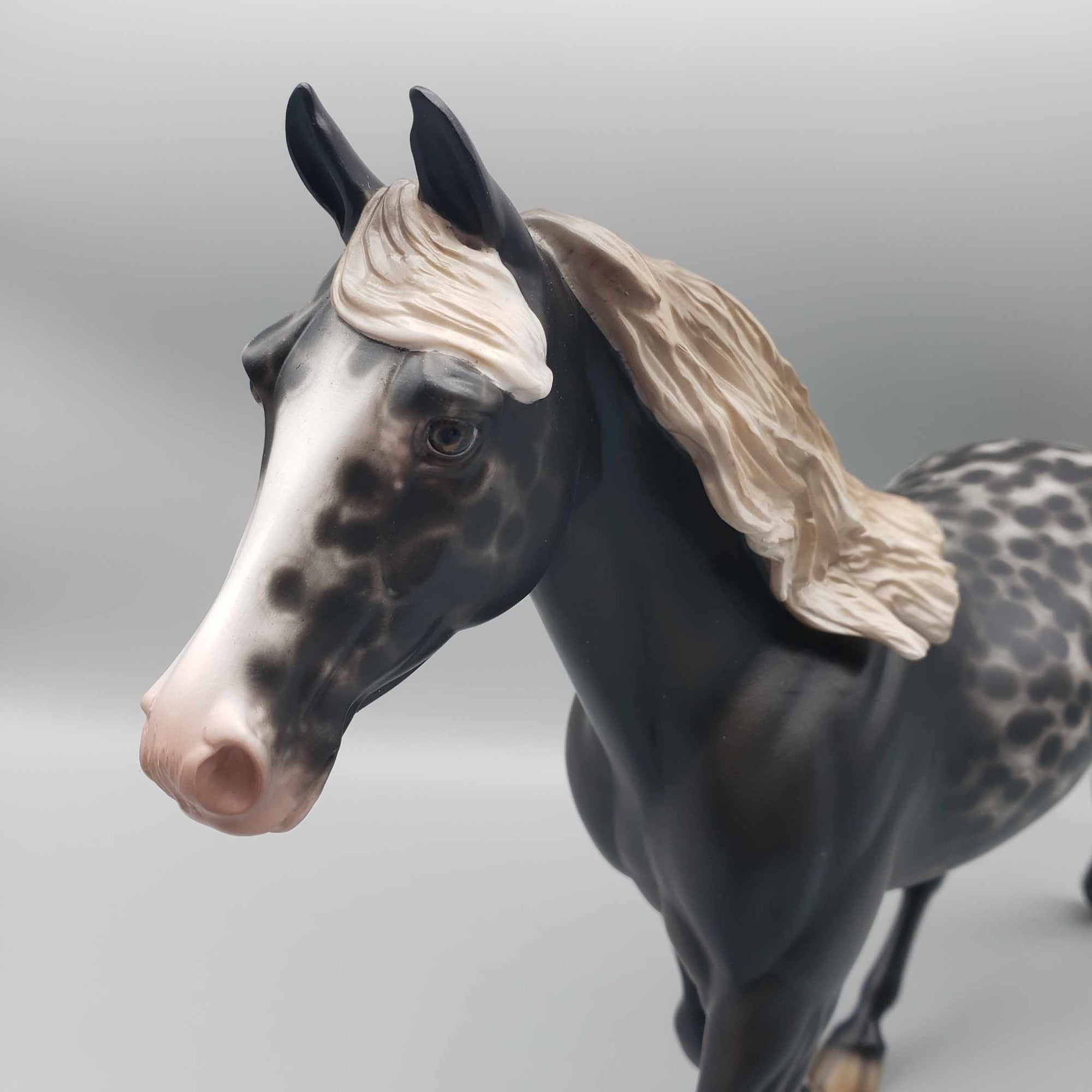 Blackberry Pie OOAK Black Appaloosa Palouse By Sheryl Leisure Best Offers 12/26/23