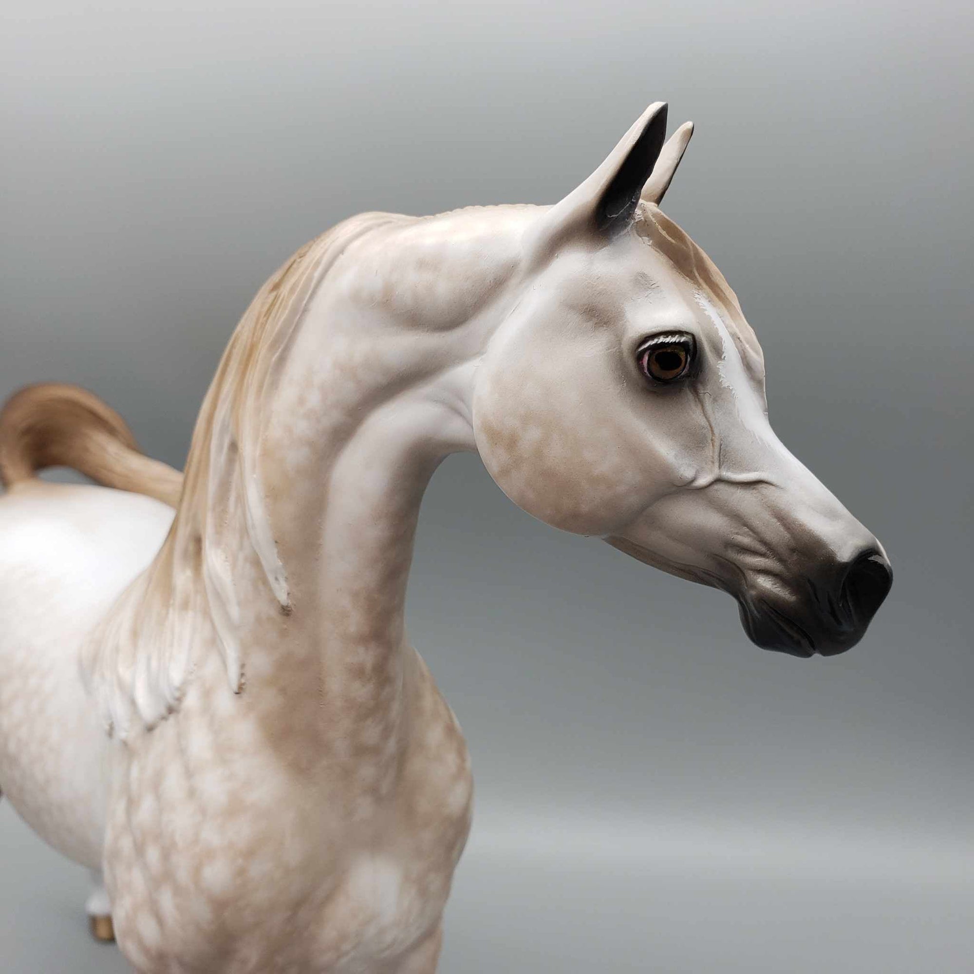 Dreamy OOAK Star Dappled Rose Grey Arabian Stallion By Sheryl Leisure Best Offer 1/2/24