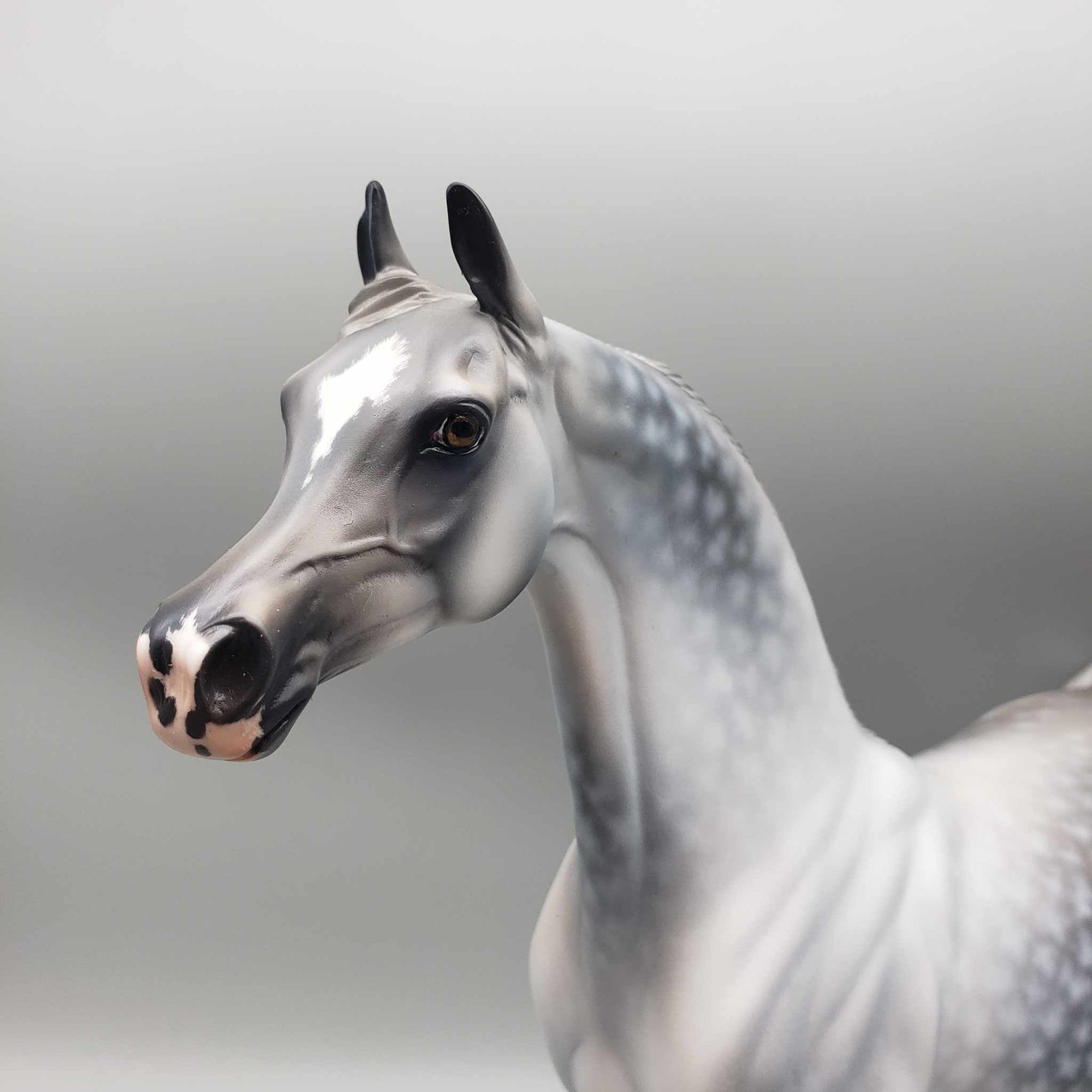 Weatherman OOAK Star Dappled Grey Arabian By Jess Hamill Best Offers 12/26/23