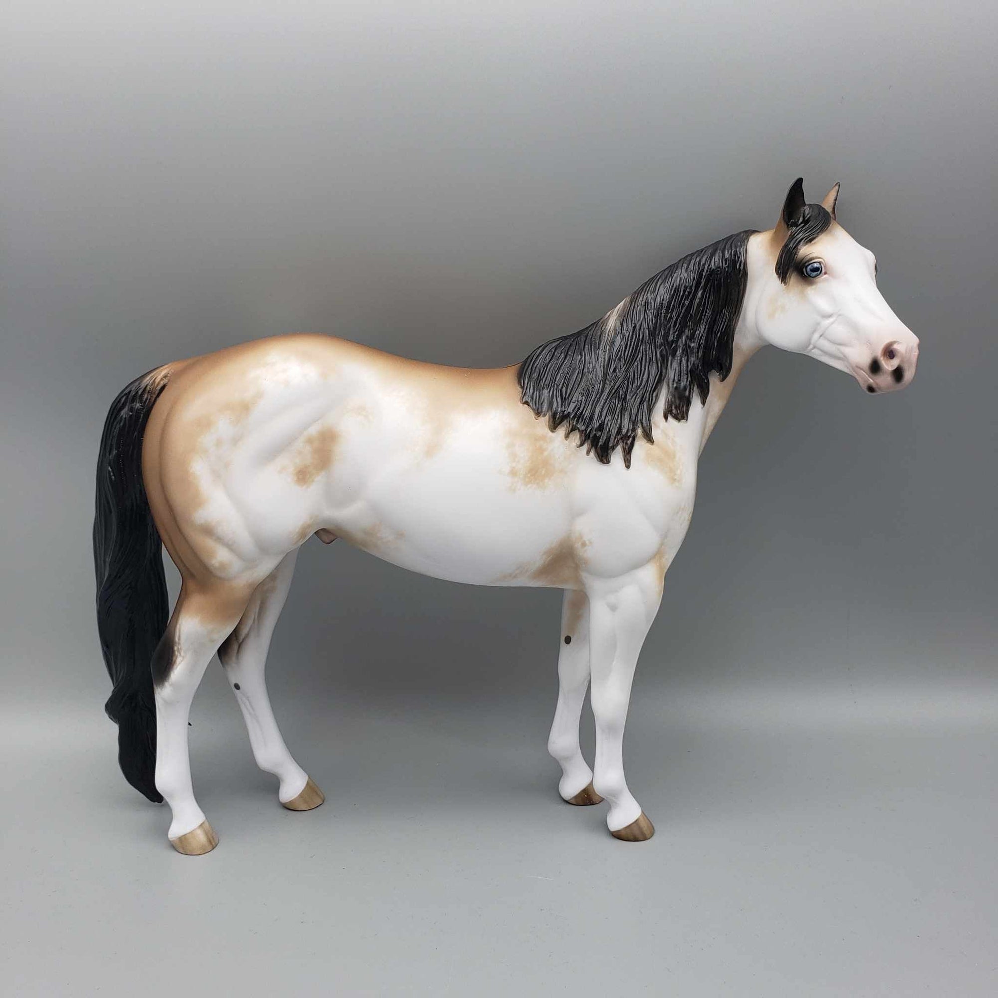 Jingle Berry OOAK Buckskin Sabino ISH By Sheryl Leisure Best Offers 12/26/23