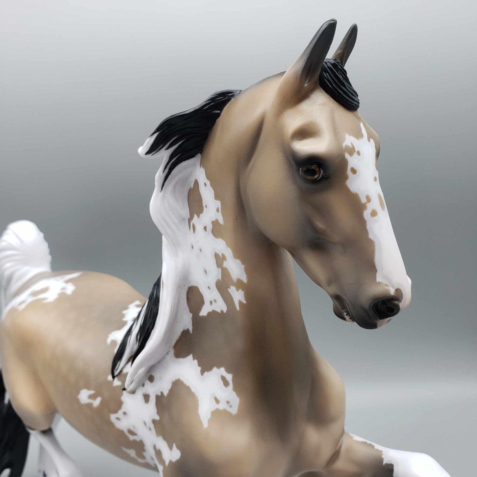 Dusty Mirage OOAK Dappled Buckskin Tobiano with Cat Tracks Saddlebred By Jess Hamill Best Offer 1/2/24