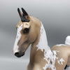 Dusty Mirage OOAK Dappled Buckskin Tobiano with Cat Tracks Saddlebred By Jess Hamill Best Offer 1/2/24