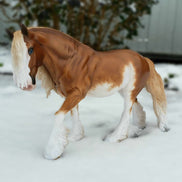 So Charming OOAK Sabino Irish Cob By Sheryl Leisure Best Offer 1/7/24