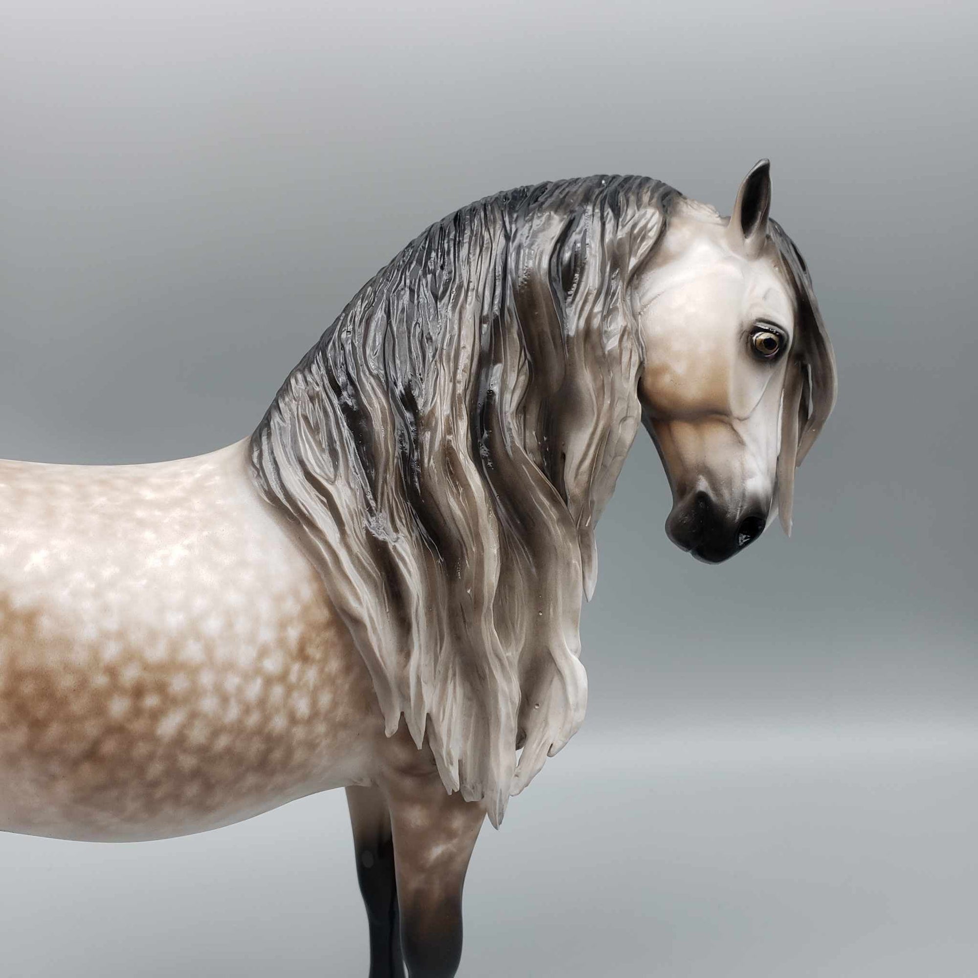 Passion OOAK Star Dappled Bay Going Grey Andalusian By Sheryl Leisure Best Offer 1/2/24