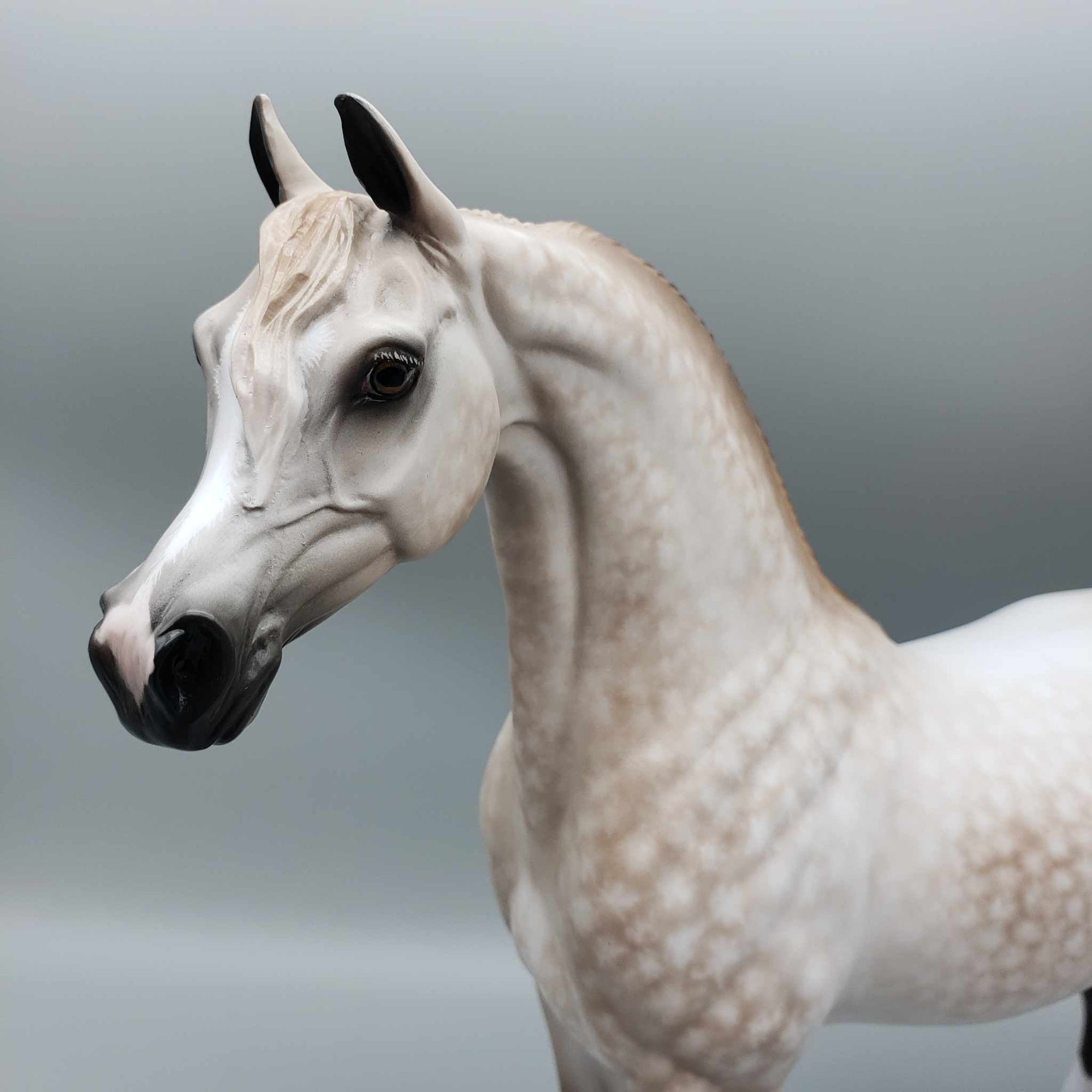 Dreamy OOAK Star Dappled Rose Grey Arabian Stallion By Sheryl Leisure Best Offer 1/2/24