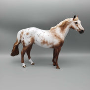 Nifty OOAK Appaloosa ISH By Sheryl Leisure Best Offer 1/7/24
