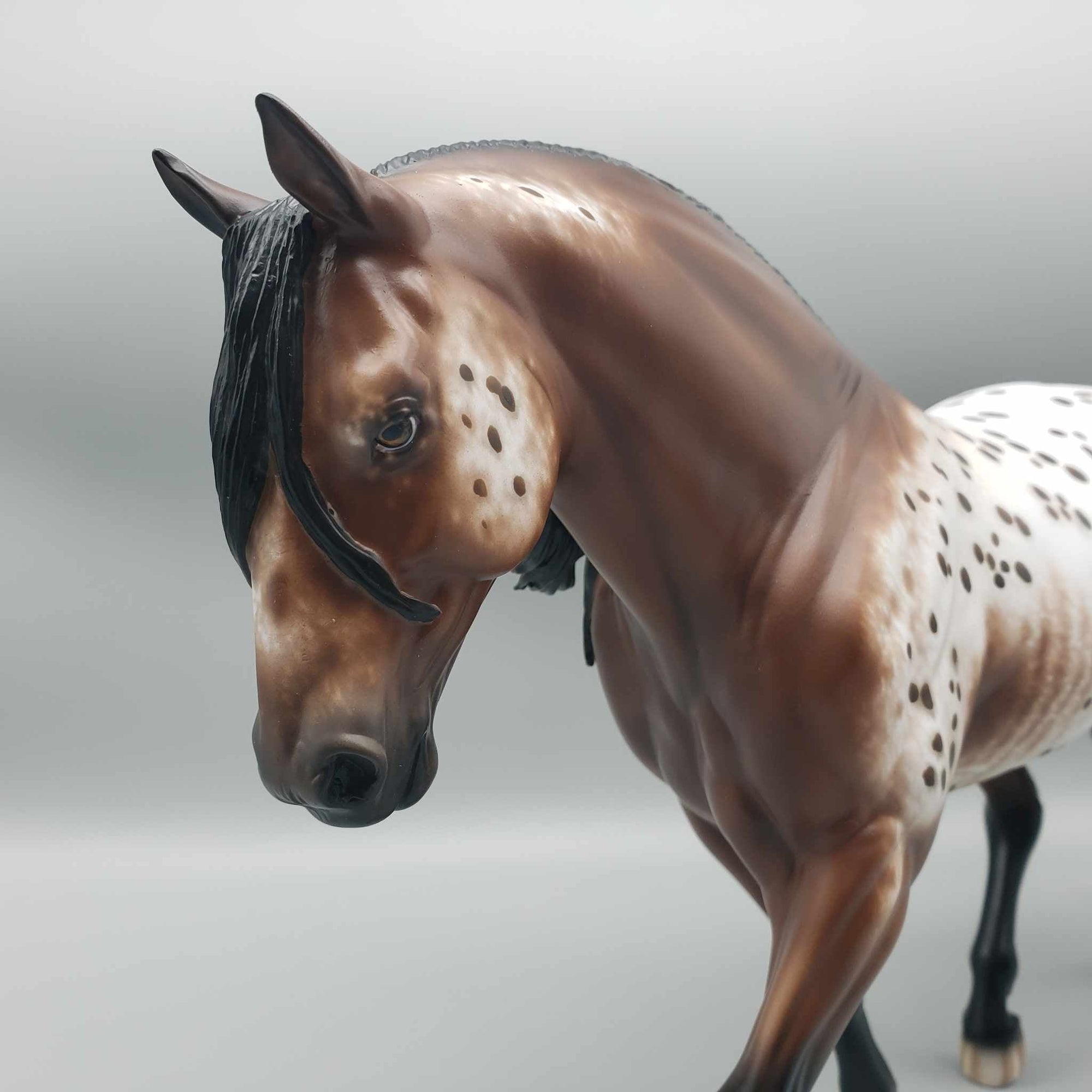 Doozie OOAK Appaloosa Irish Draft By Sheryl Leisure Best Offer 1/7/24