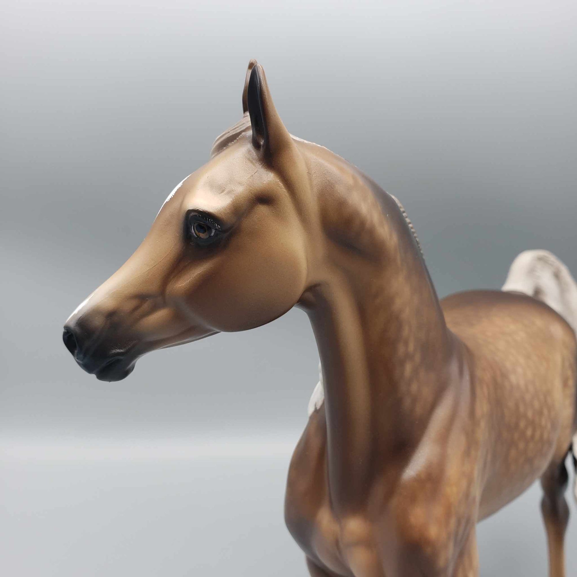 Kiss Me Now OOAK Dappled Sooty Buckskin Arab Mare By Sheryl Leisure Best Offer 1/7/24