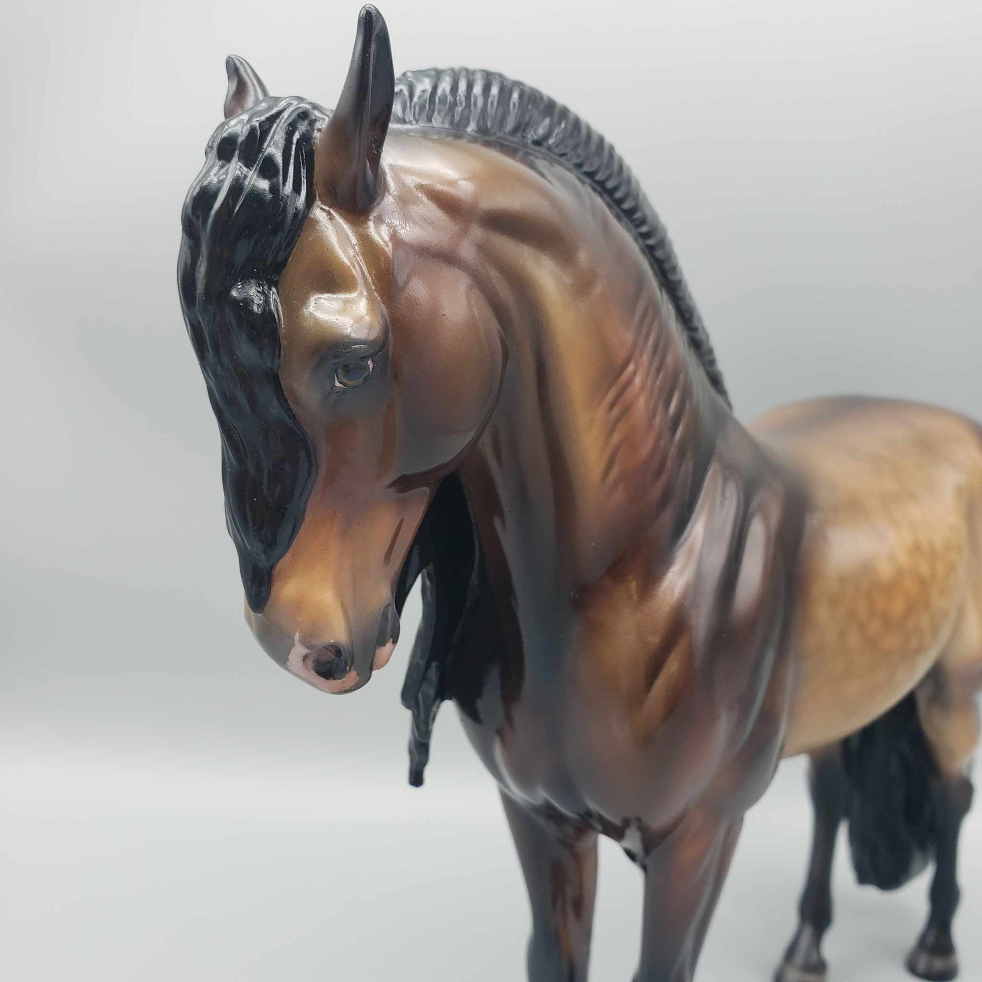 Tailchaser OOAK Dapple Sooty Buckskin Custom Andalusian By Julie Keim