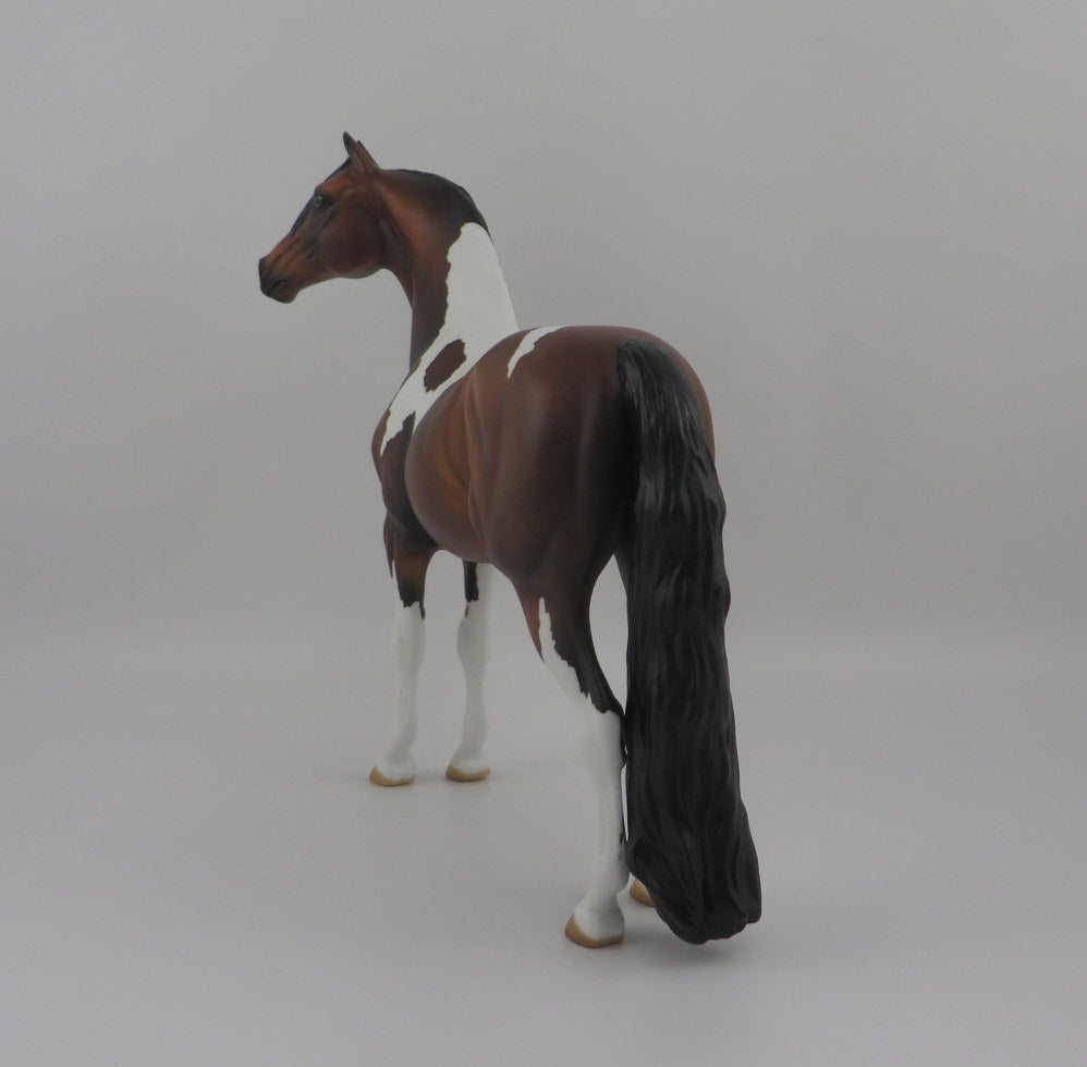 Printz-OOAK Bay Pint Morgan EQ 2020