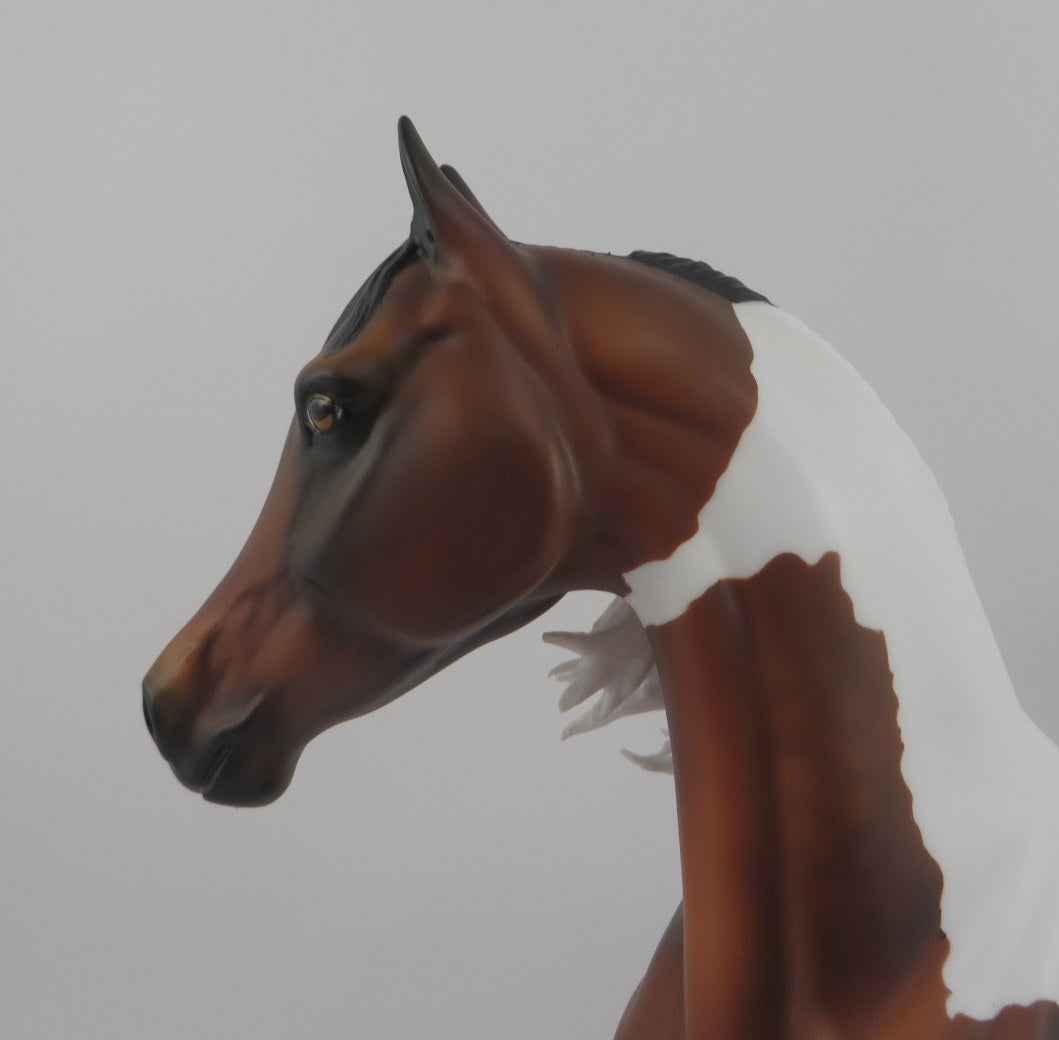 Rateau-OOAK Bay Paint Arabian Mare EQ 2020