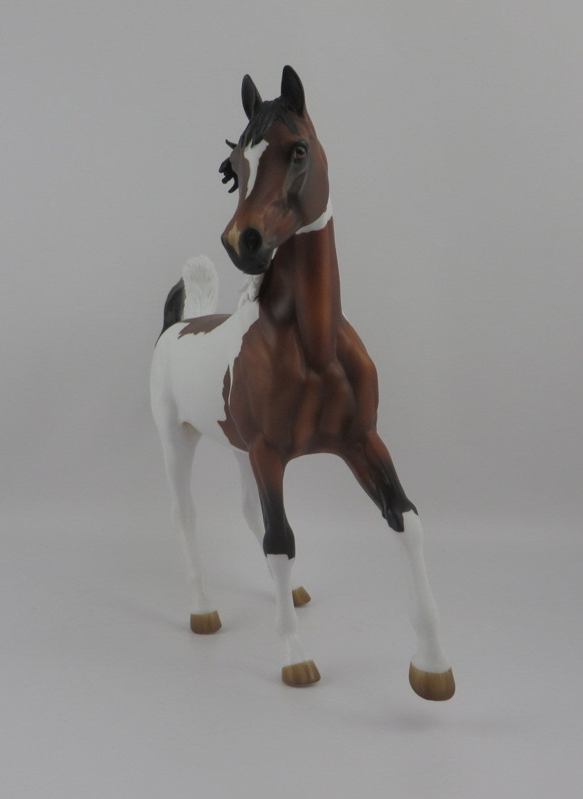 Rateau-OOAK Bay Paint Arabian Mare EQ 2020